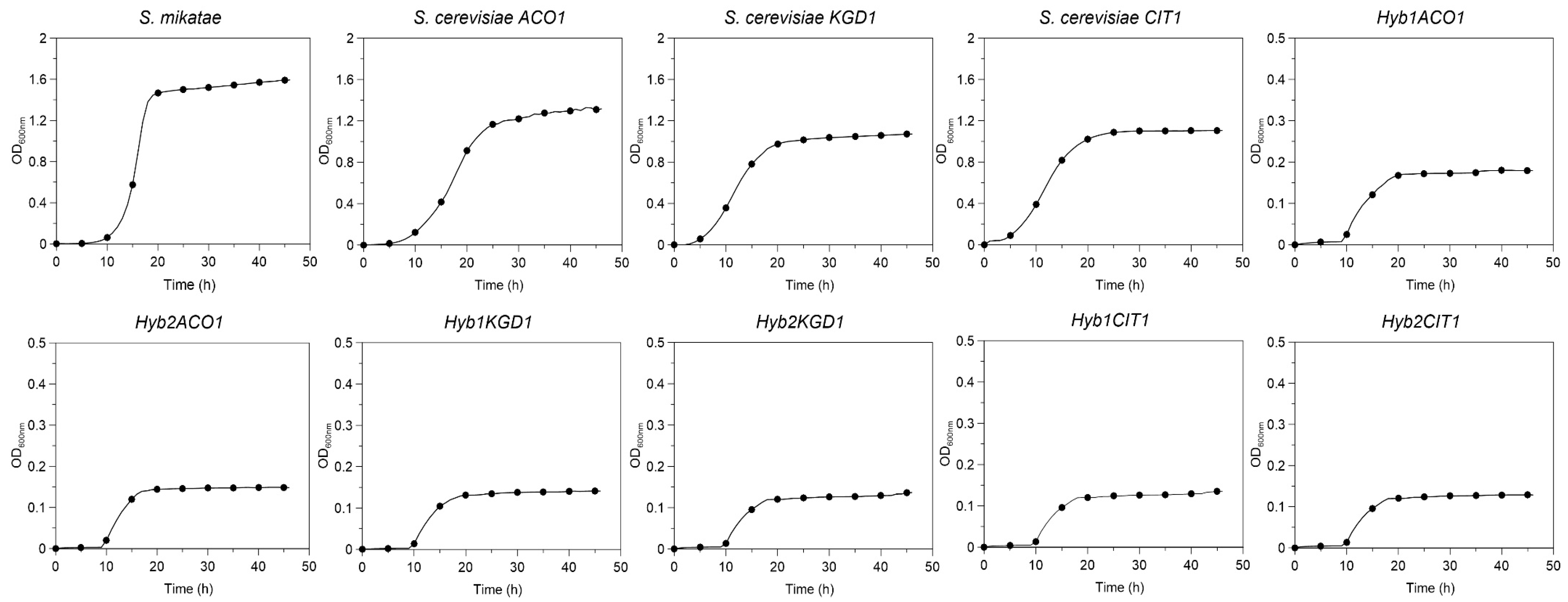 Fermentation 09 00221 g004