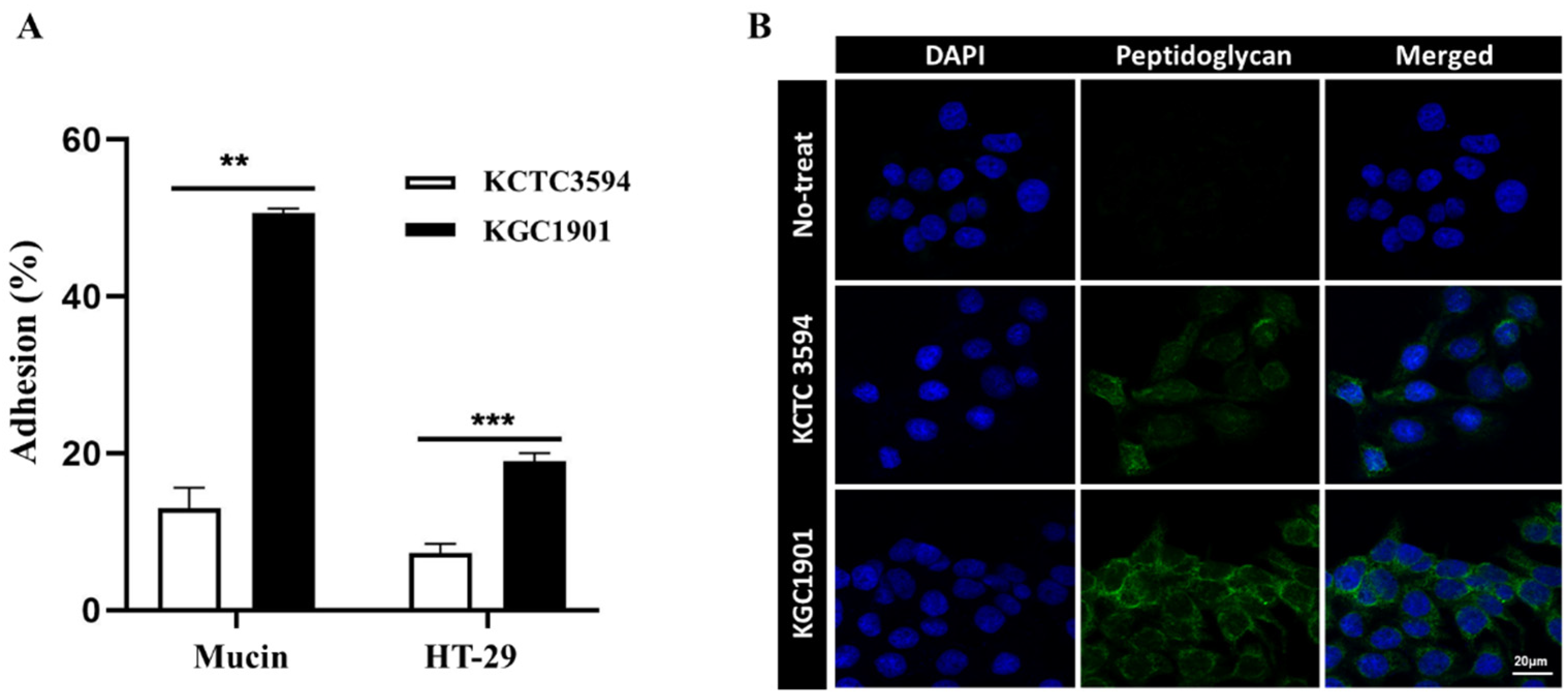 Fermentation 09 00228 g003