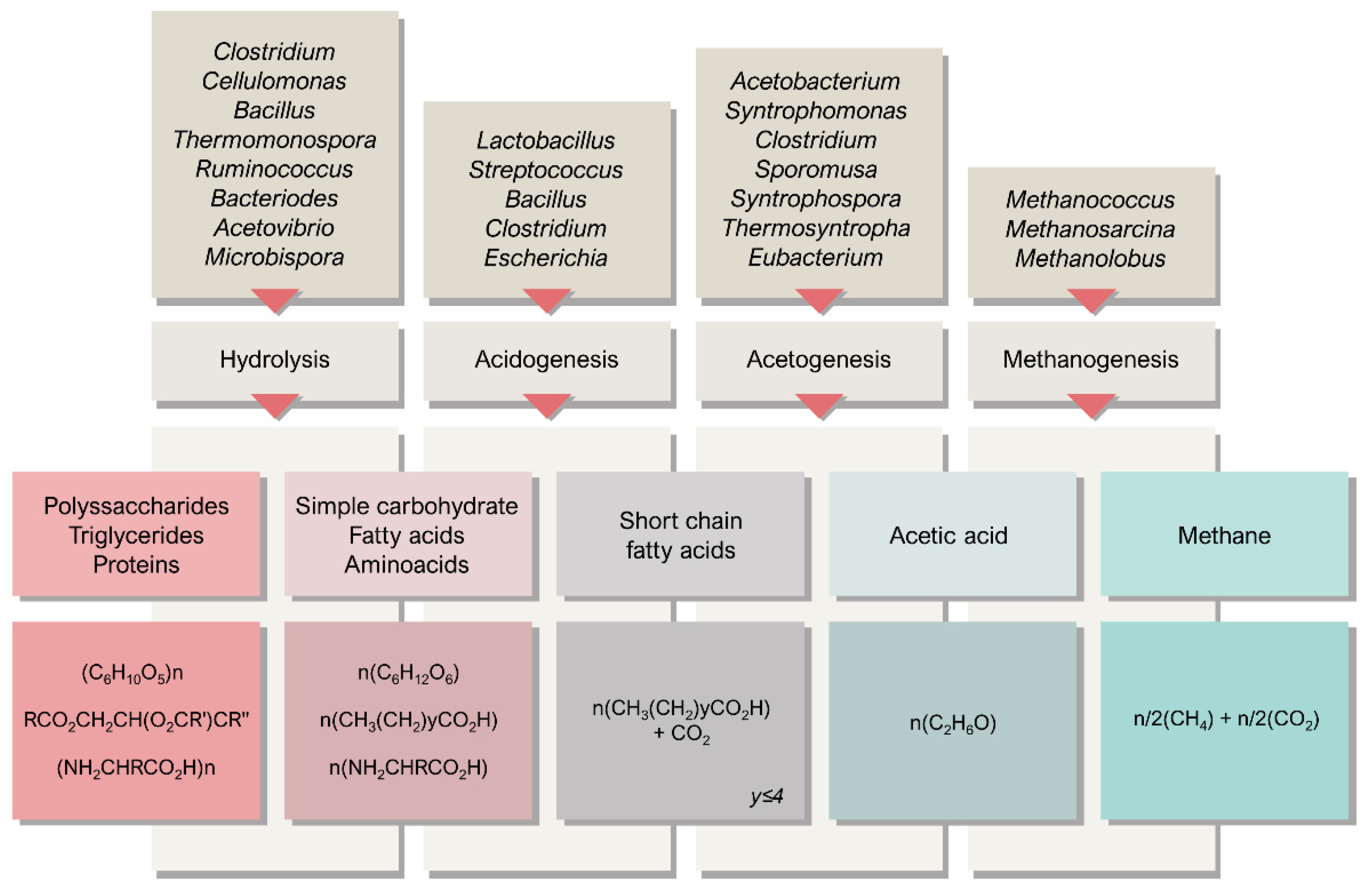 Fermentation 09 00349 g001