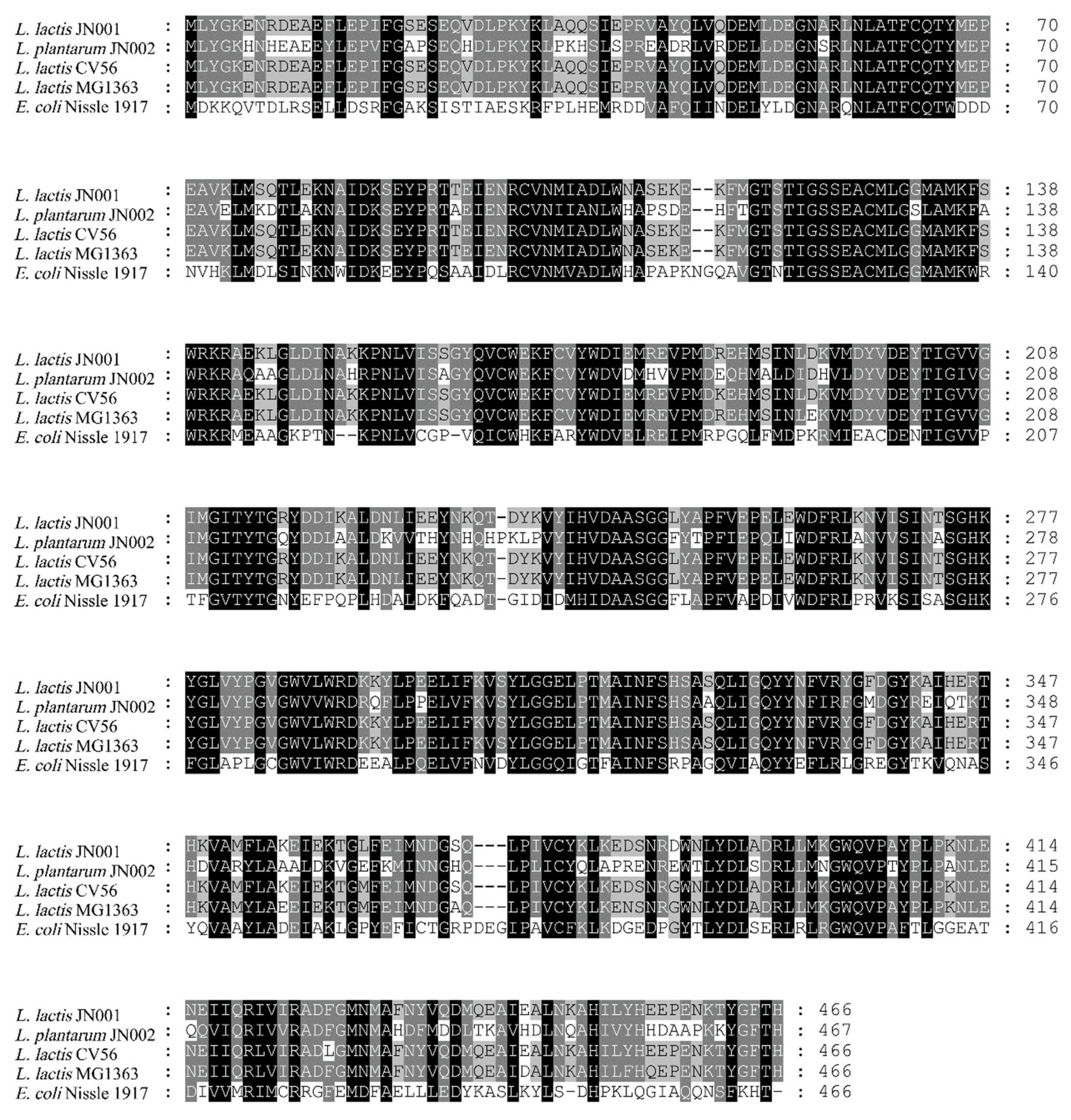 Fermentation 09 00445 g001
