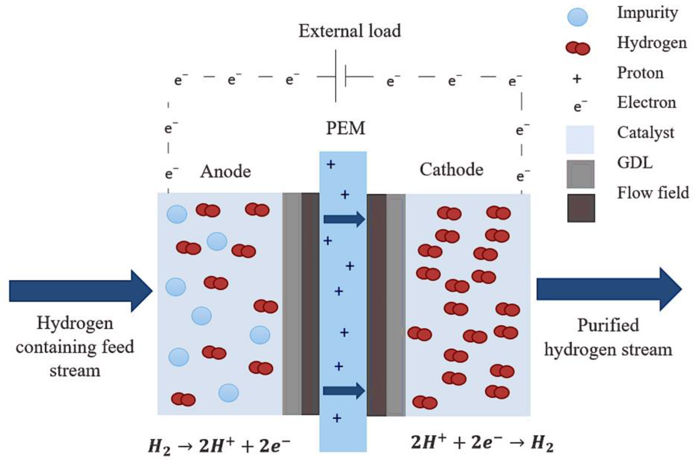 Fermentation 09 00537 g002