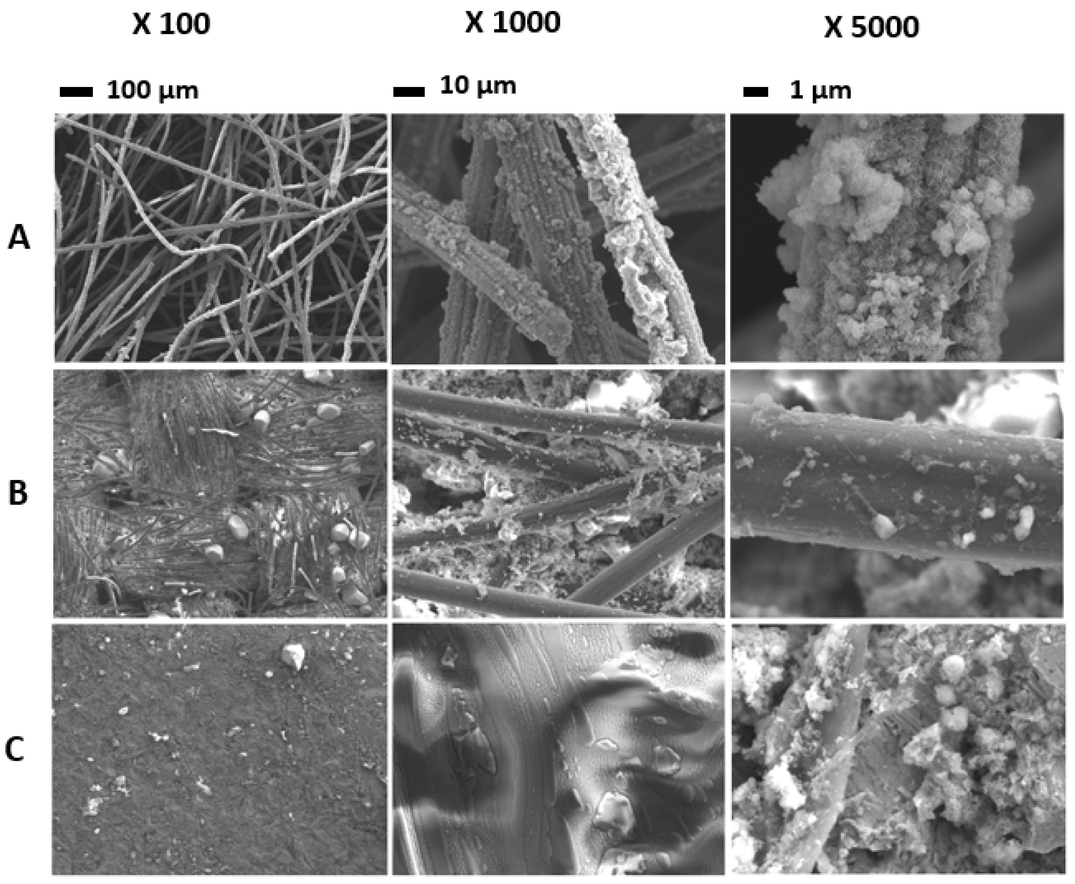 Fermentation 09 00782 g007
