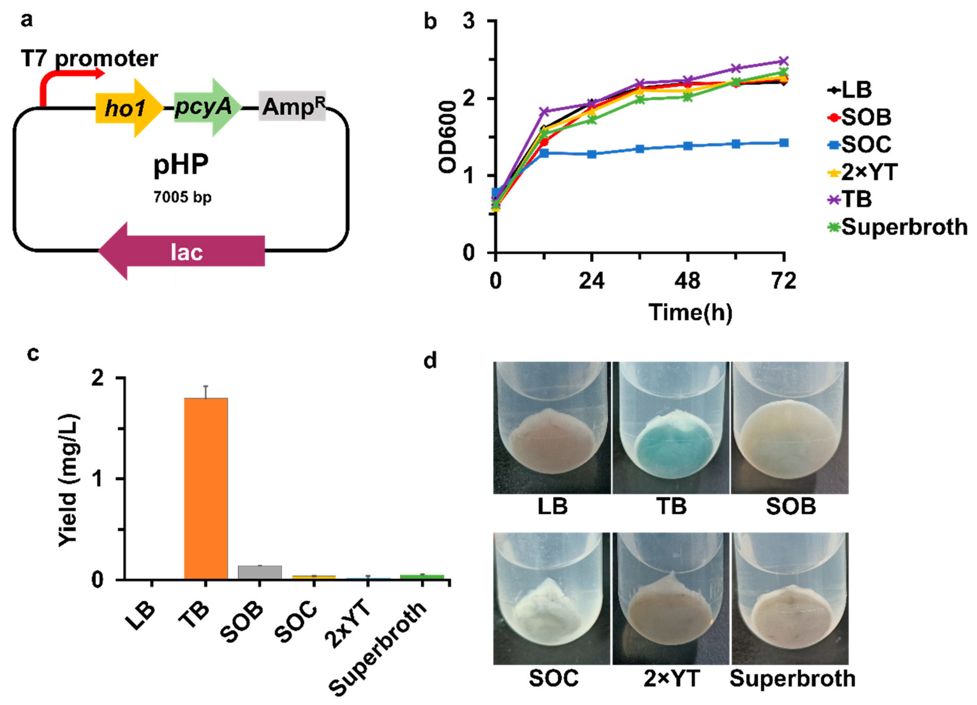 Fermentation 09 00851 g002