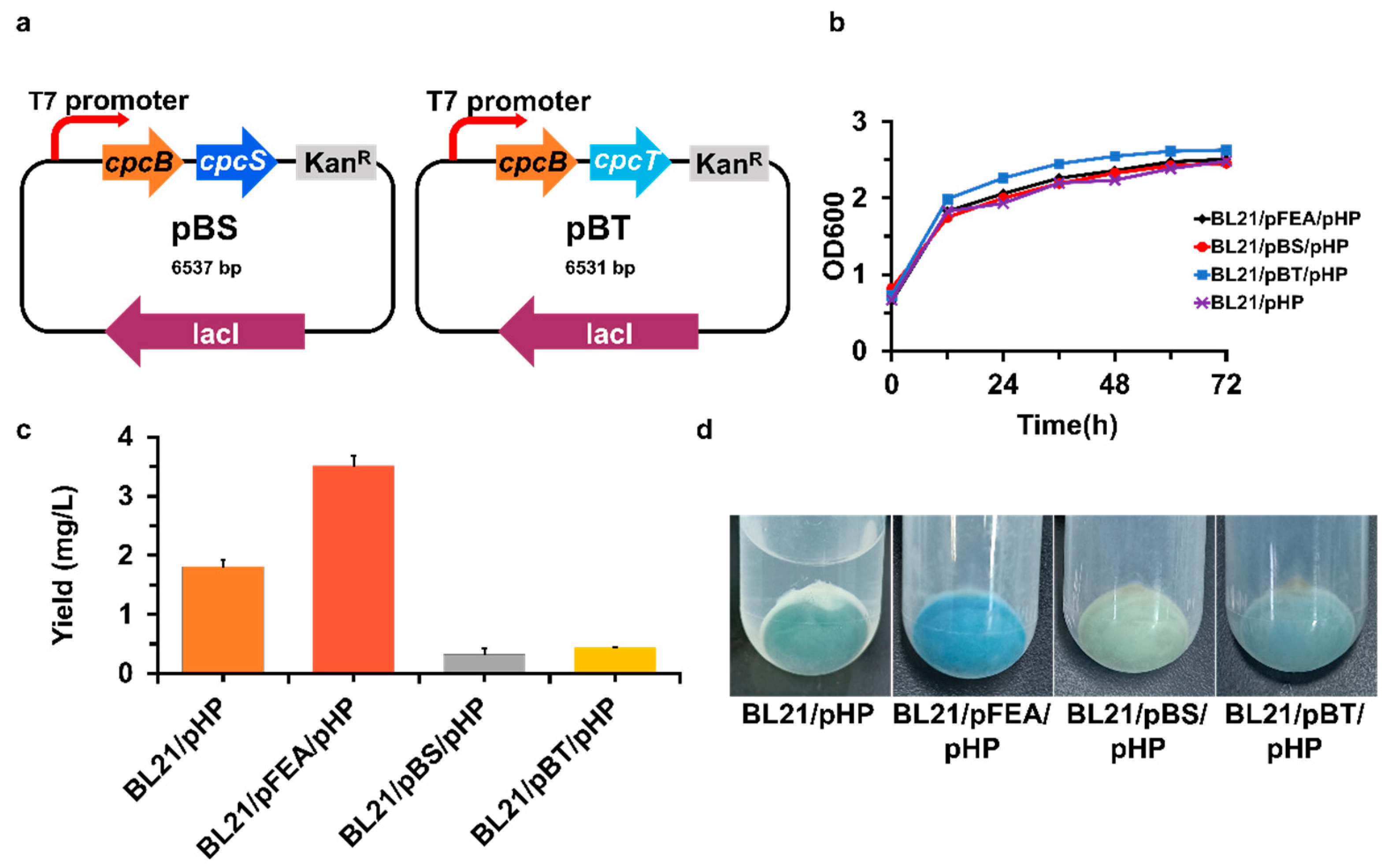 Fermentation 09 00851 g003