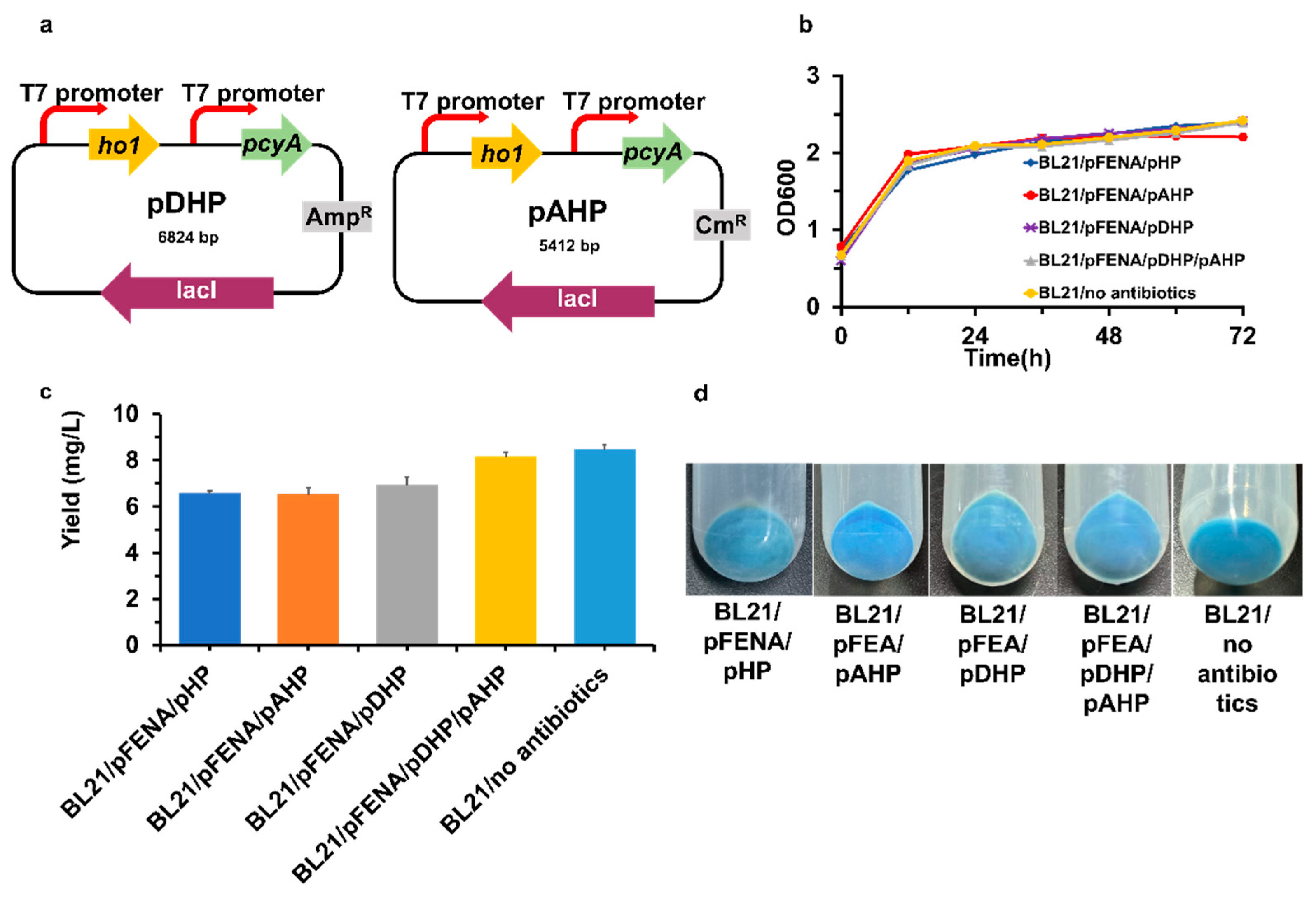 Fermentation 09 00851 g005