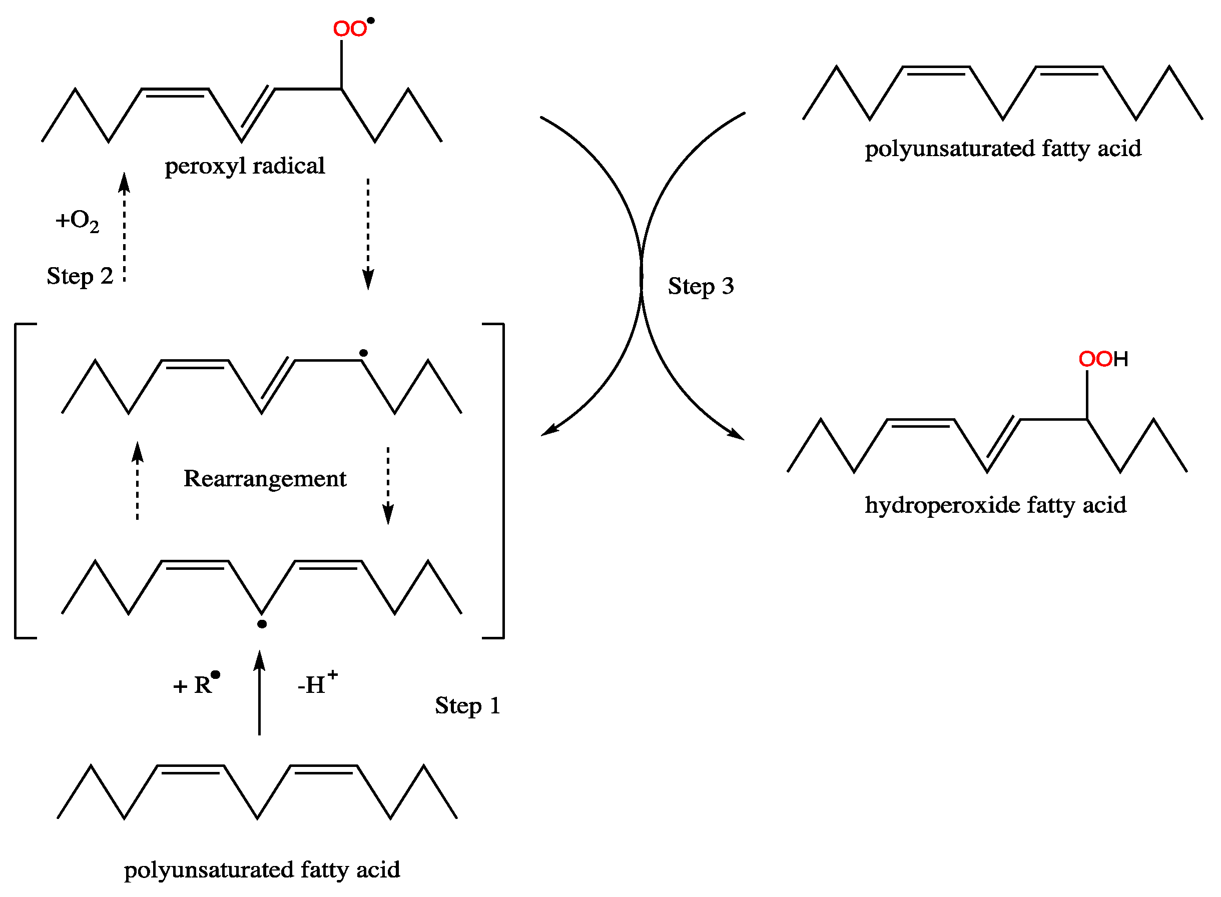 Fermentation 09 00907 g004