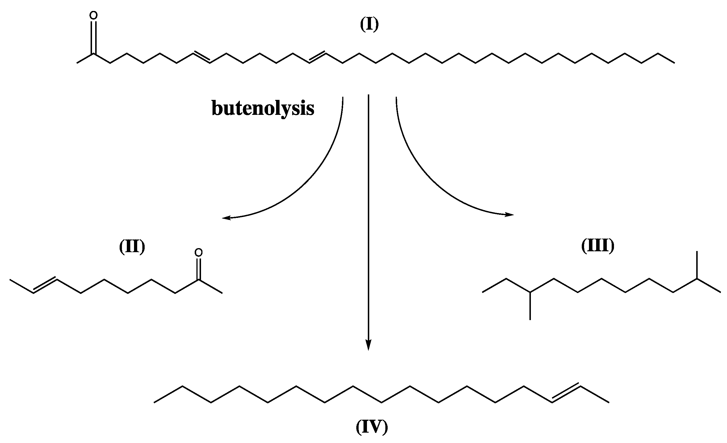 Fermentation 09 00907 g006