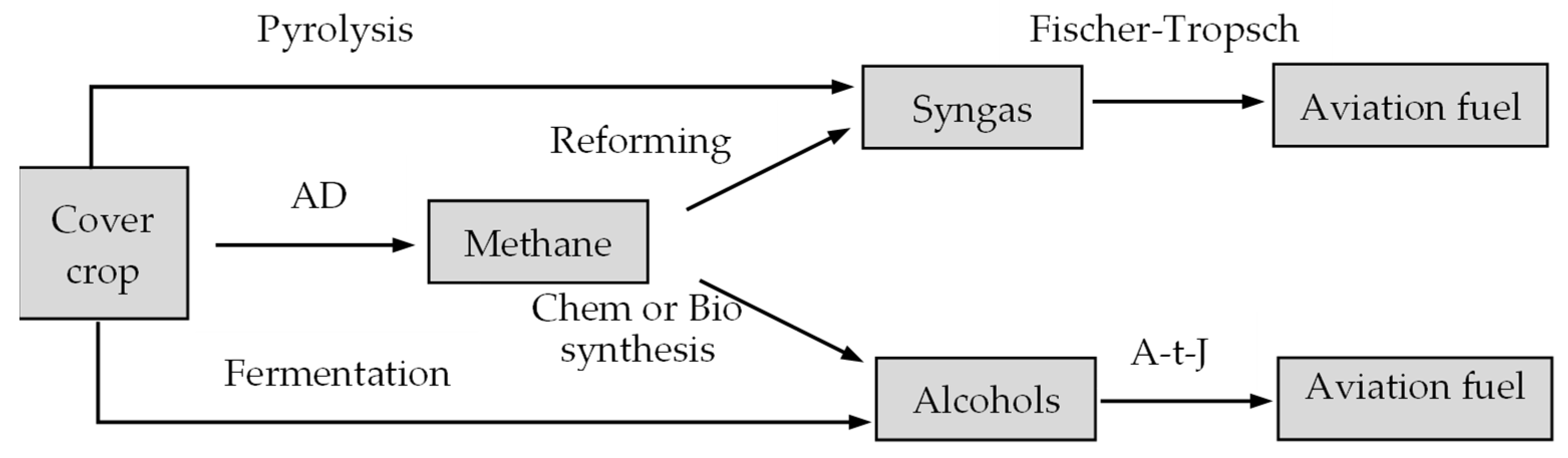 Fermentation 09 00912 g001
