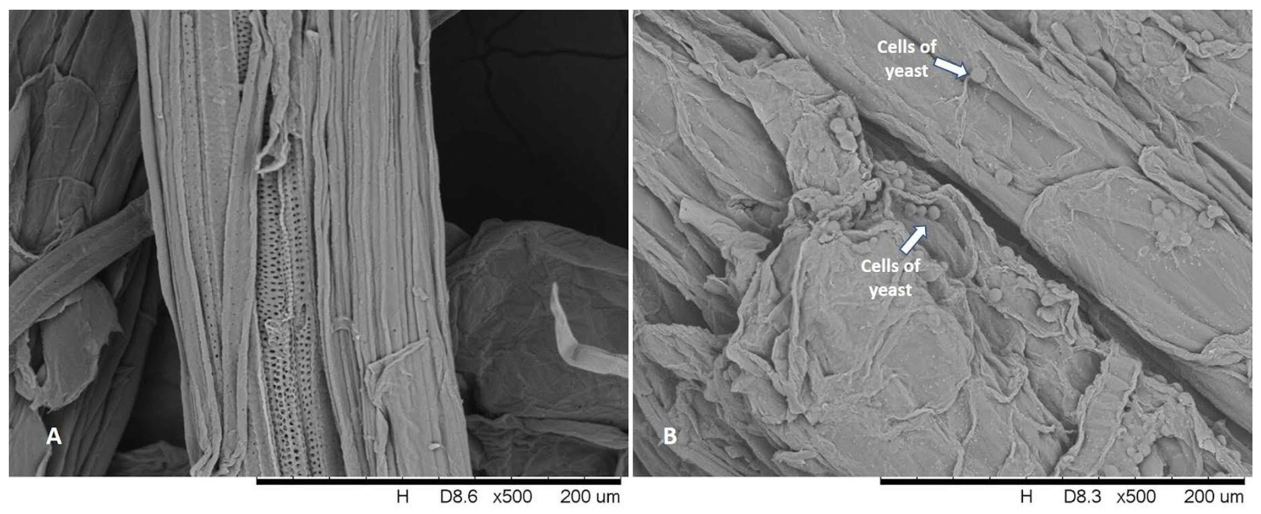 Fermentation 09 00946 g005