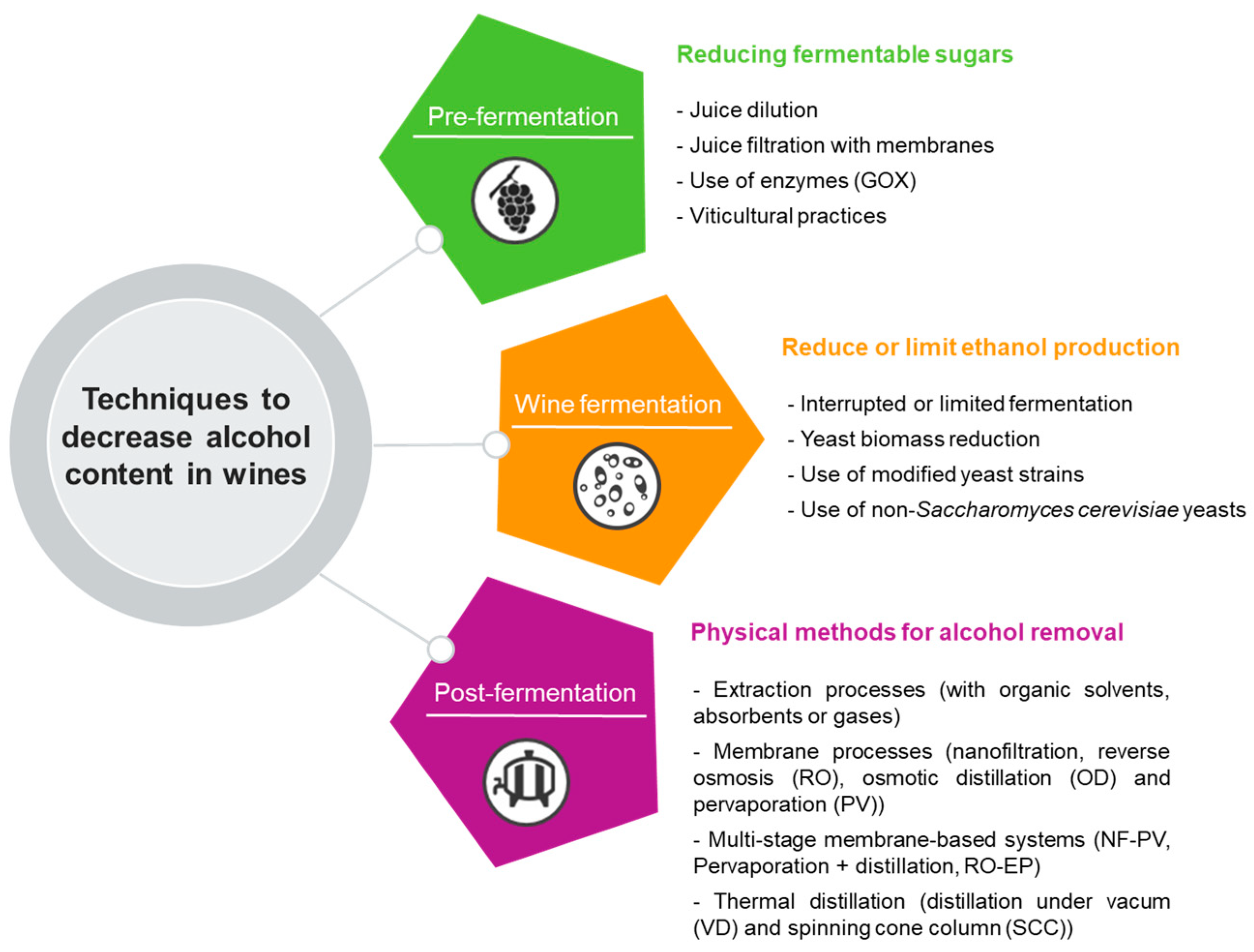 Fermentation 10 00036 g002