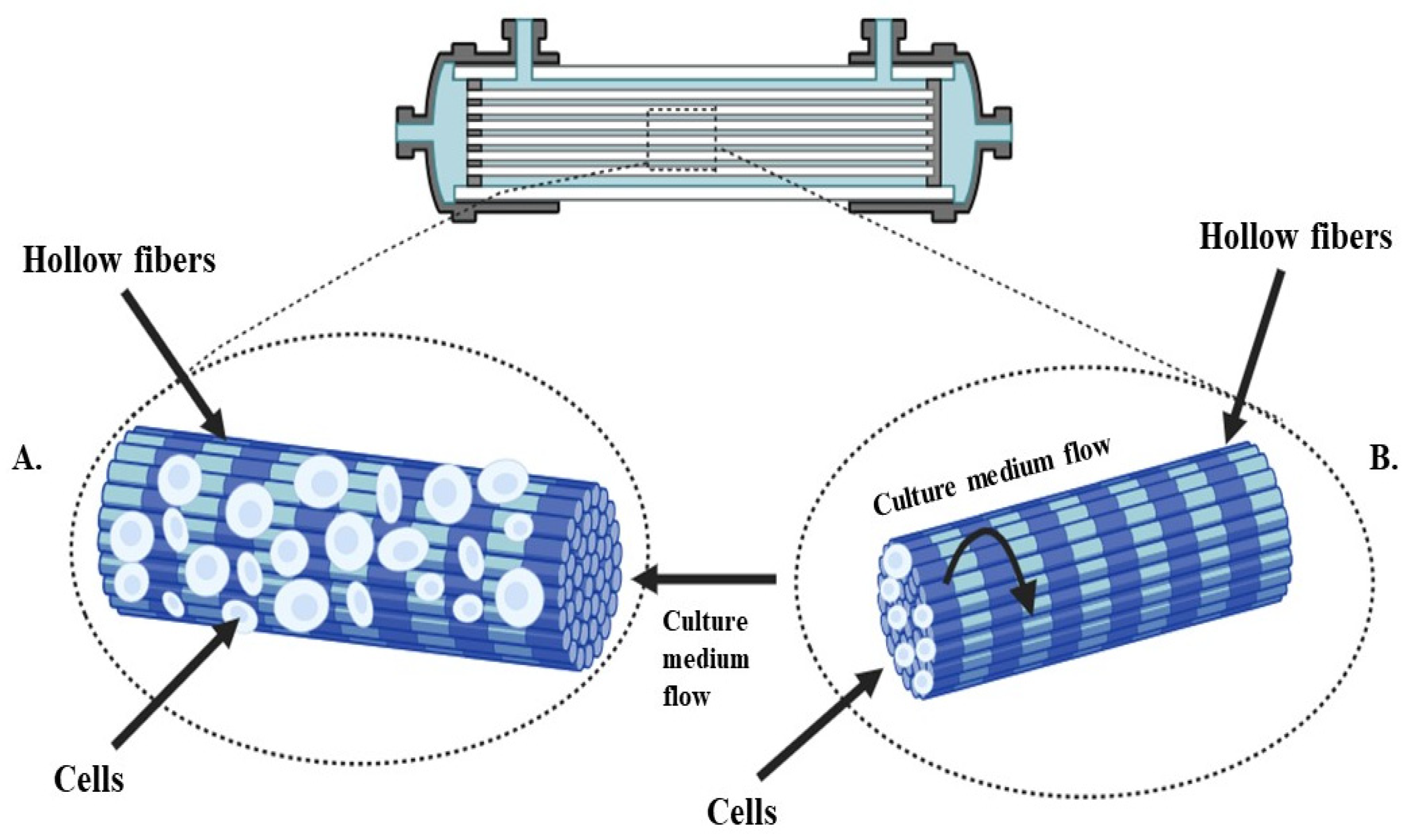 Fermentation Free Full Text Algal Based Hollow Fiber Membrane