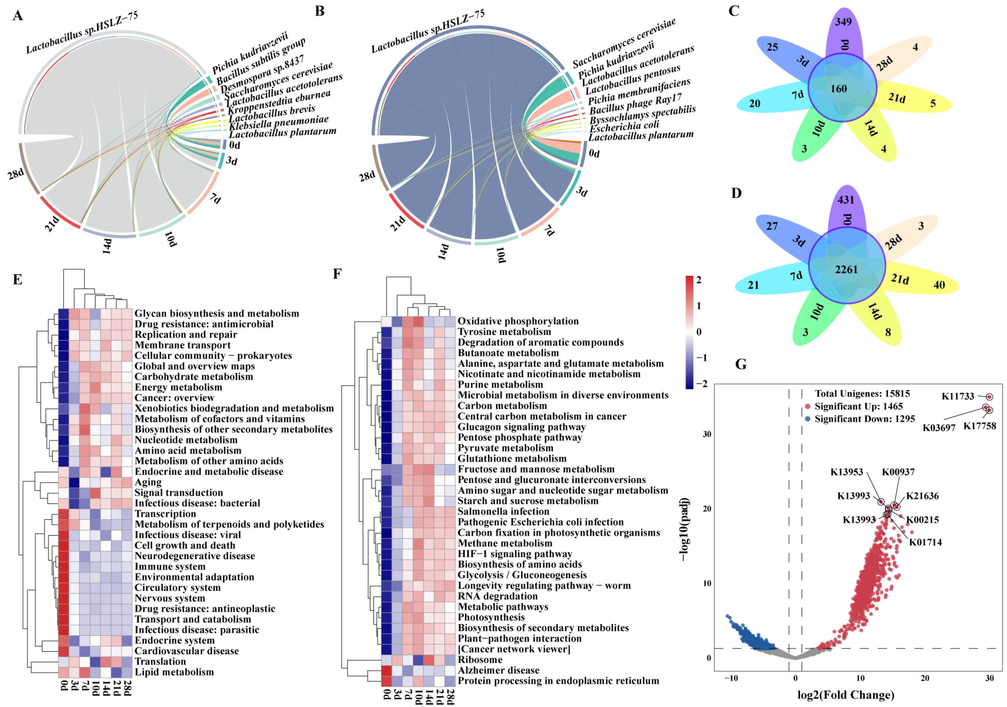 Fermentation 10 00175 g003