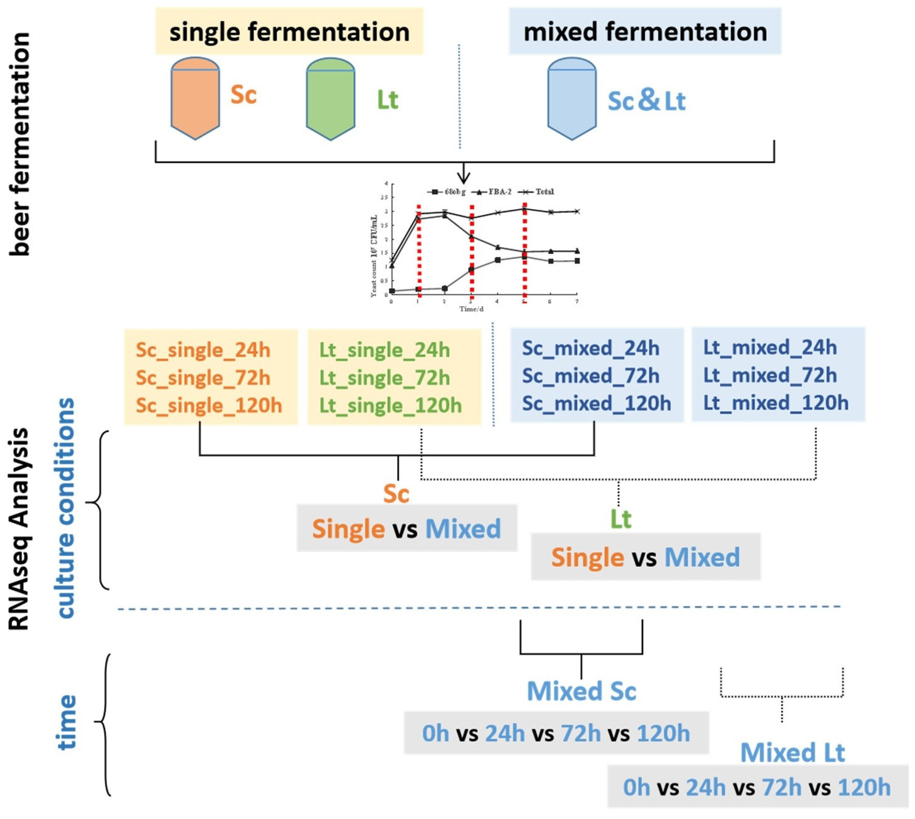 Fermentation 10 00180 g004