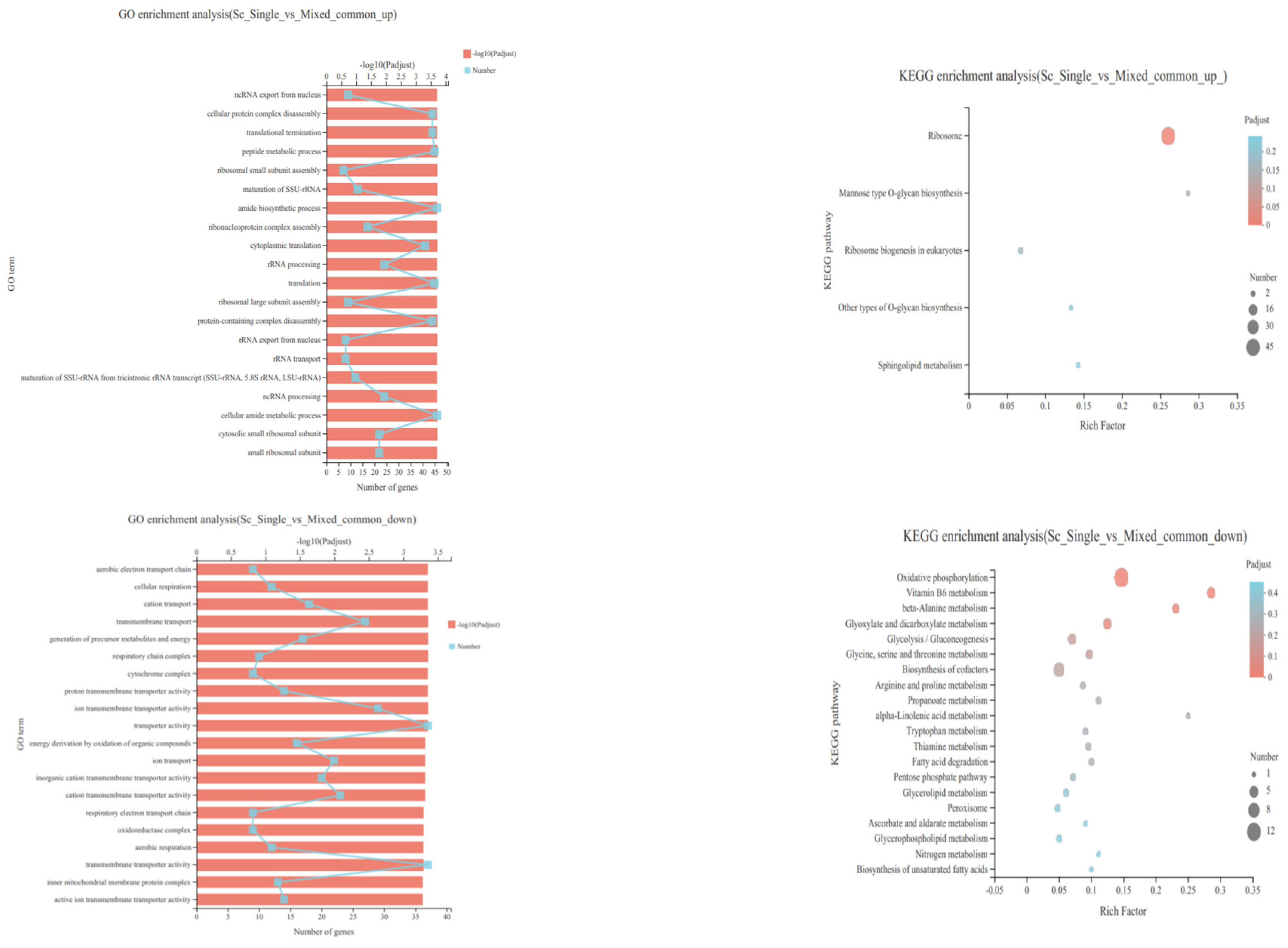 Fermentation 10 00180 g006