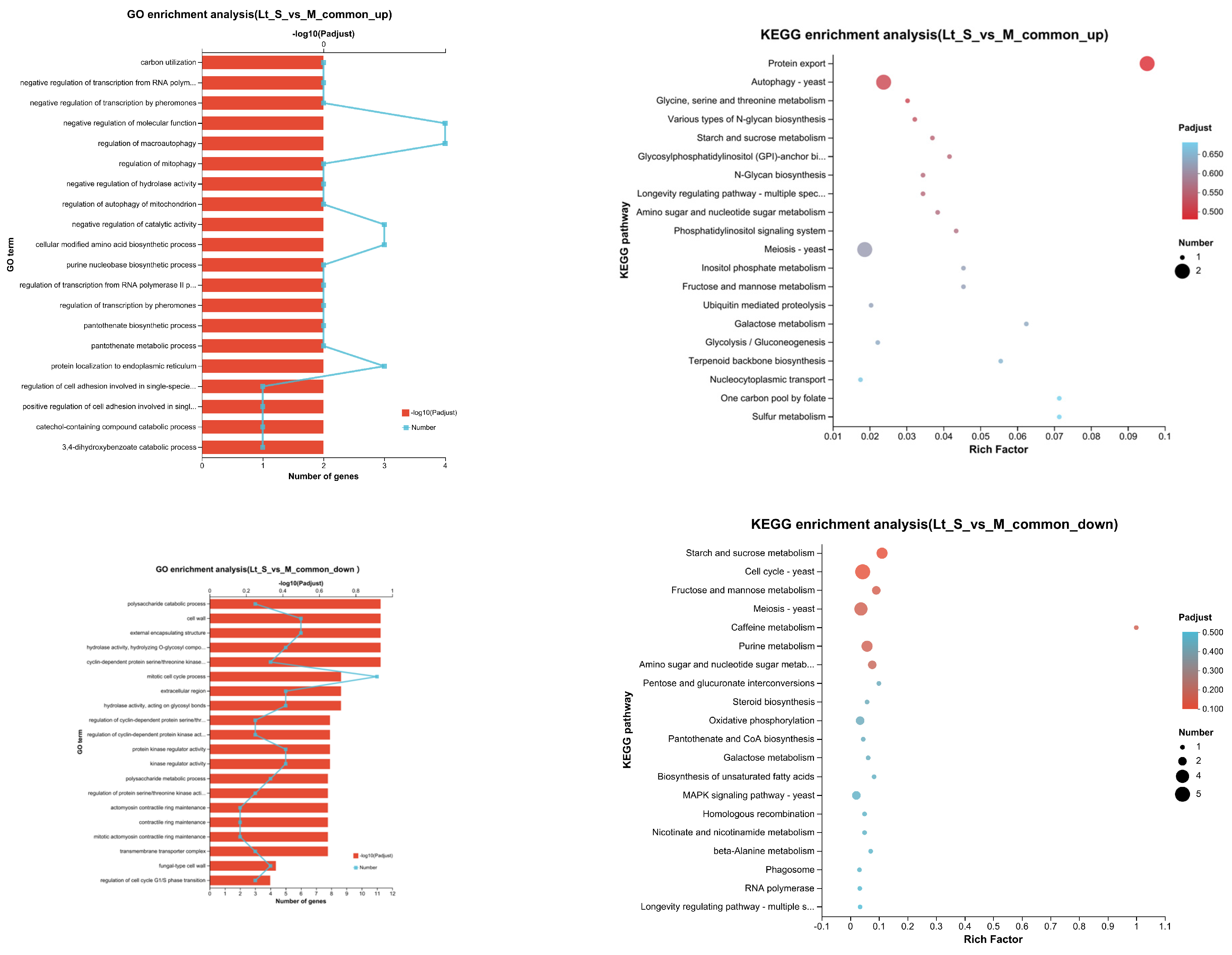 Fermentation 10 00180 g008