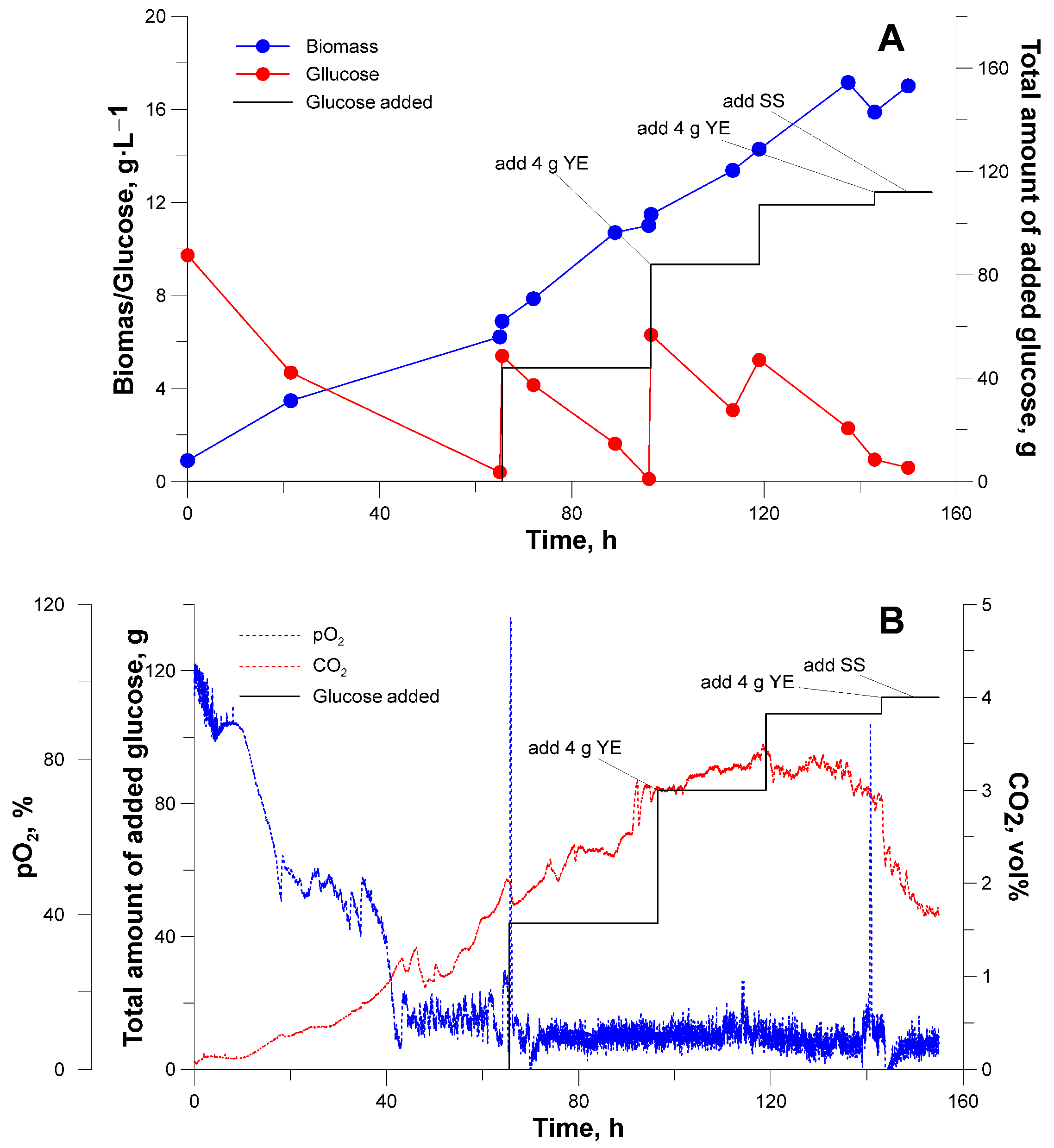 Fermentation 10 00203 g003
