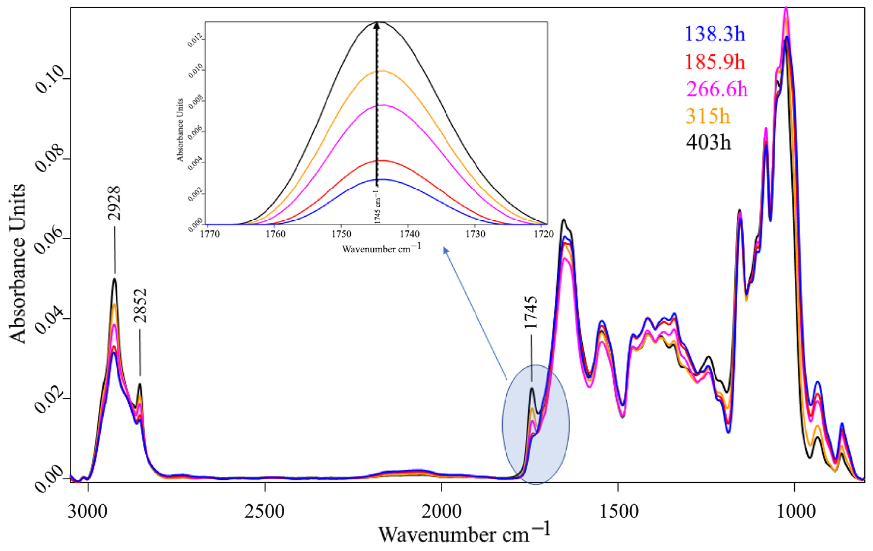 Fermentation 10 00203 g007