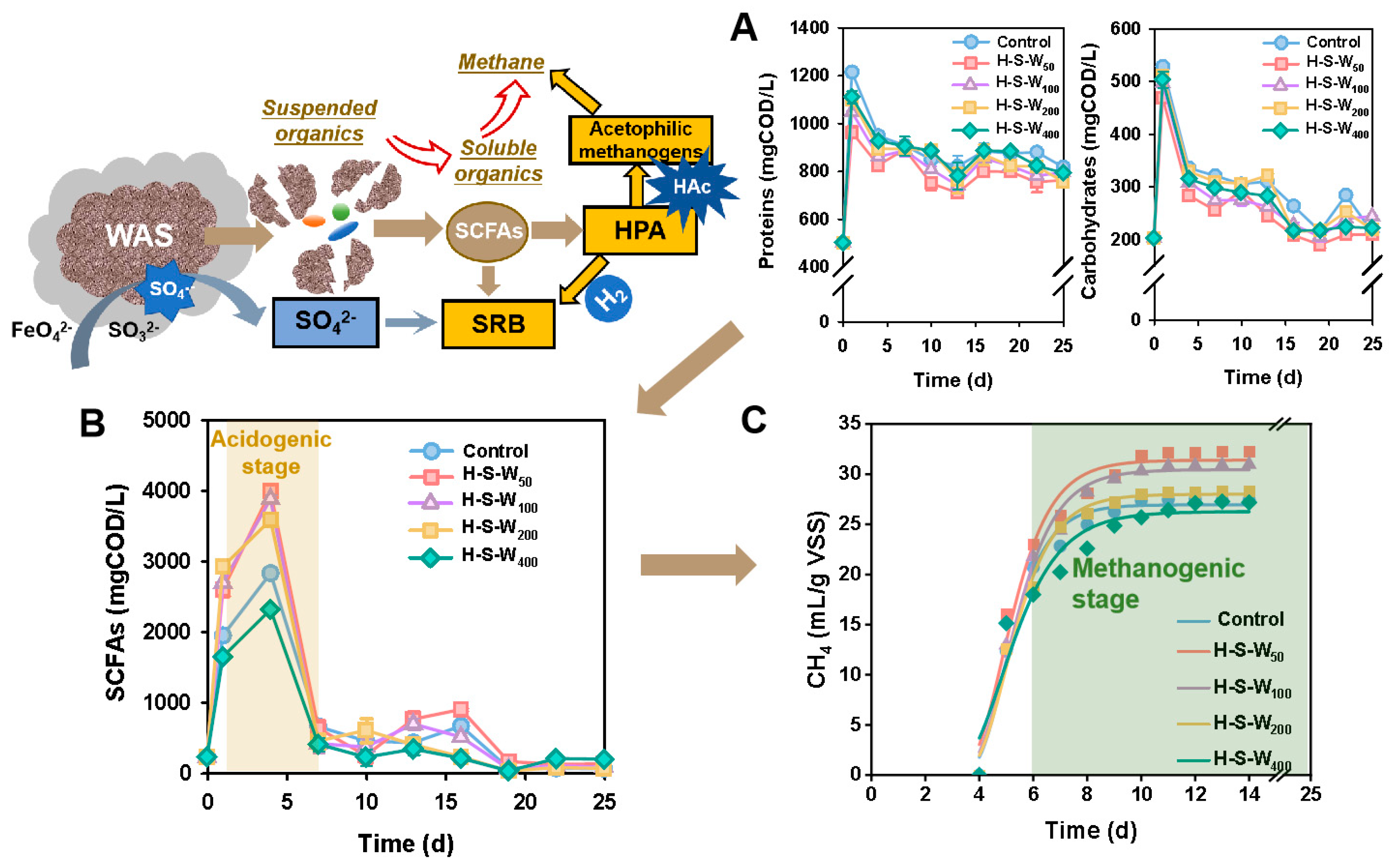 Fermentation 10 00243 g001