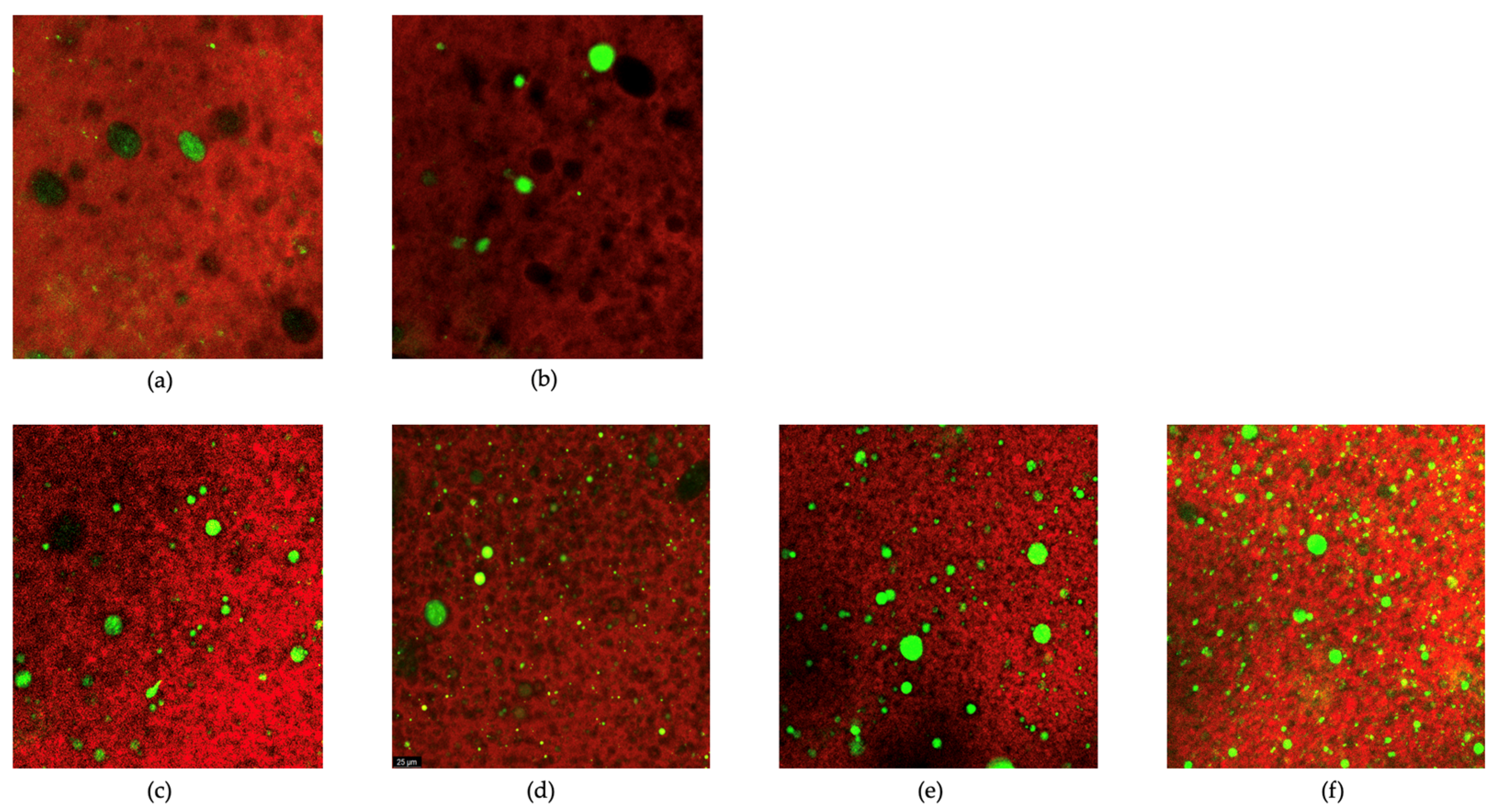 Fermentation 10 00245 g003