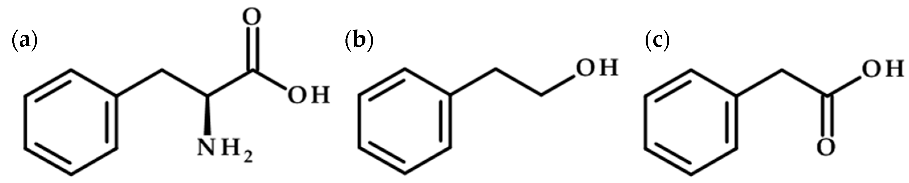 Fermentation 10 00263 g003