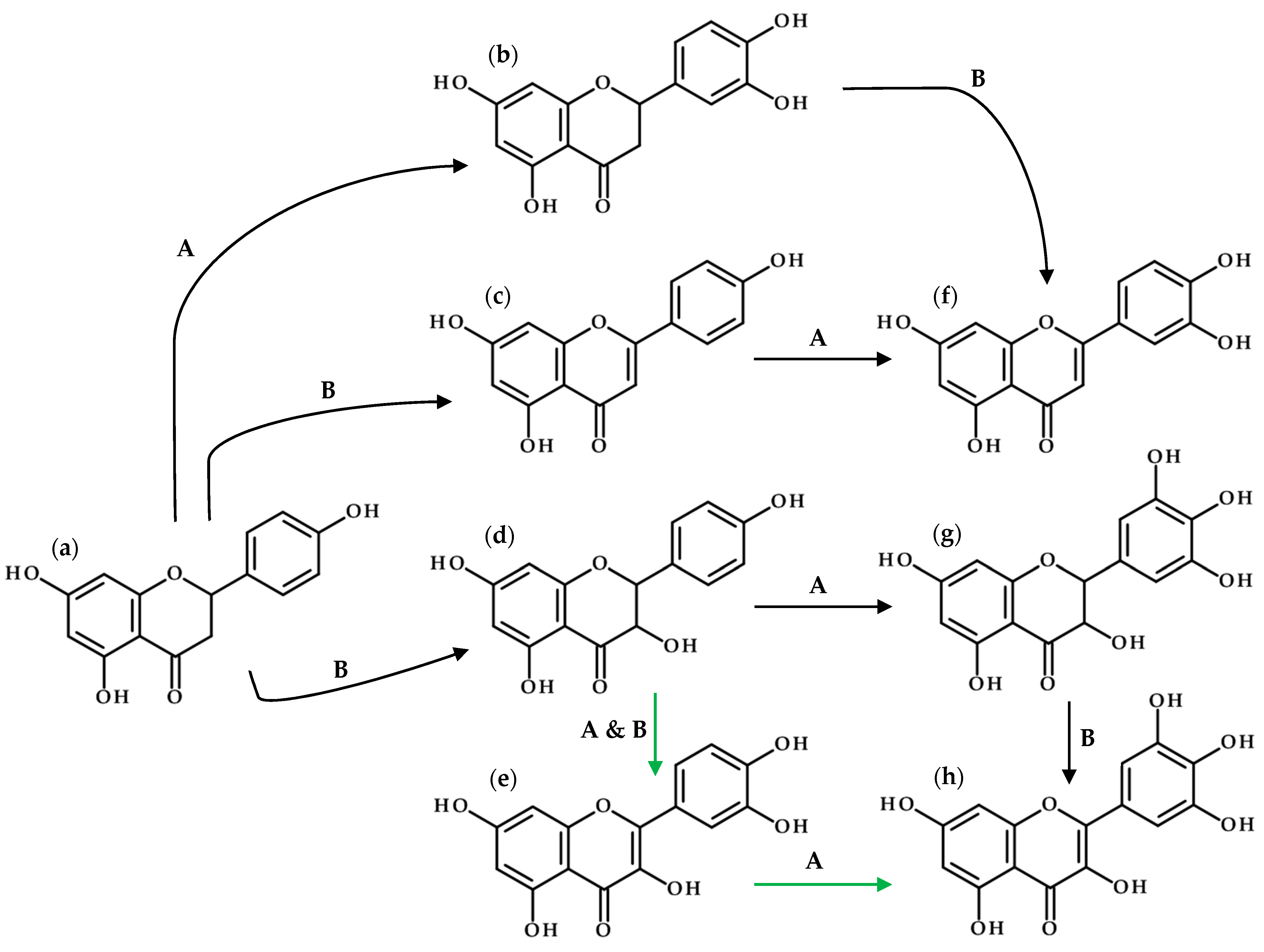 Fermentation 10 00263 g004