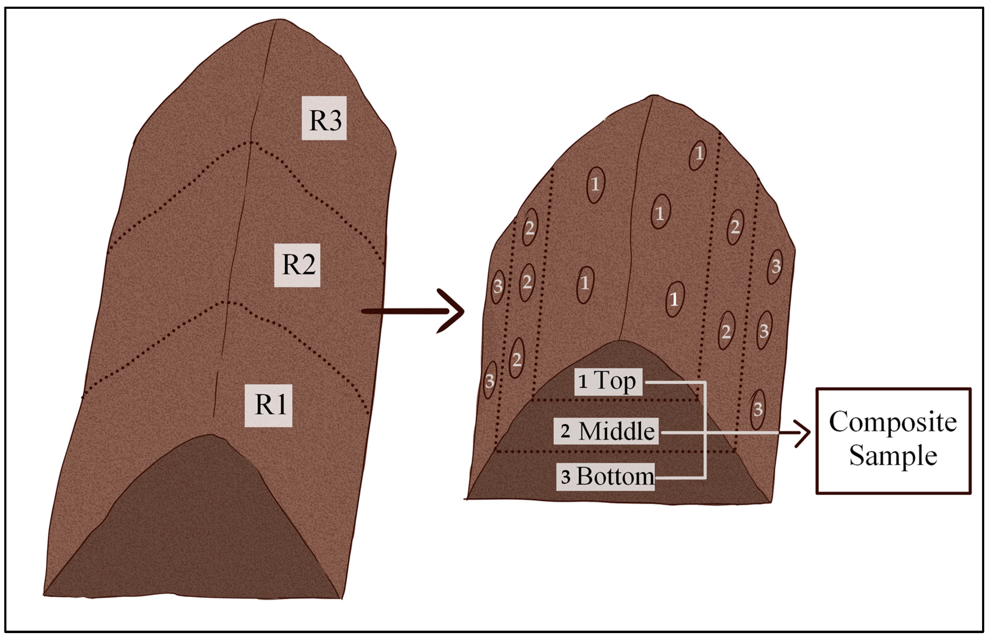 Fermentation 11 00197 g002