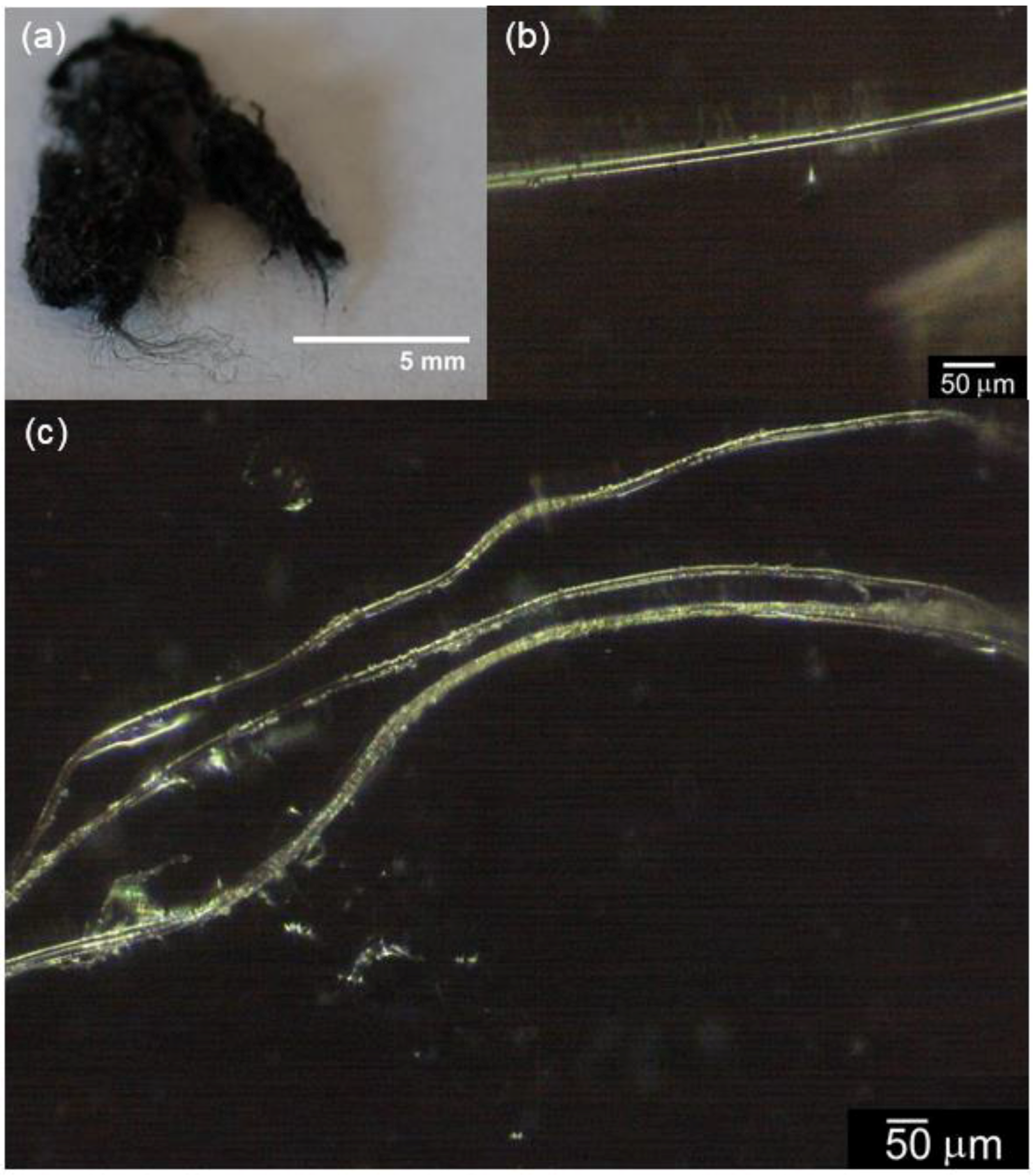 Fibers 04 00012 g004