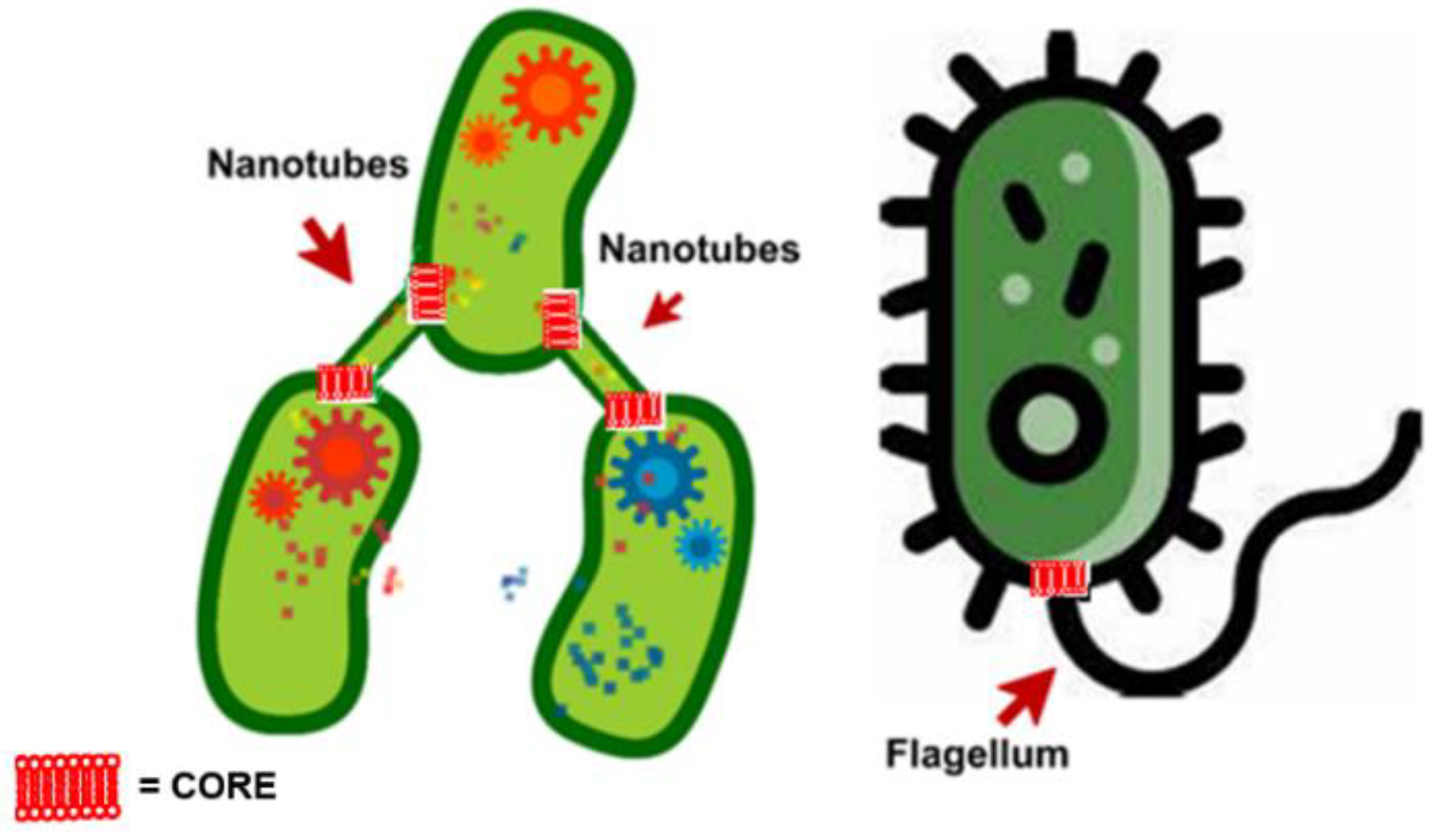 Fibers 10 00075 g005