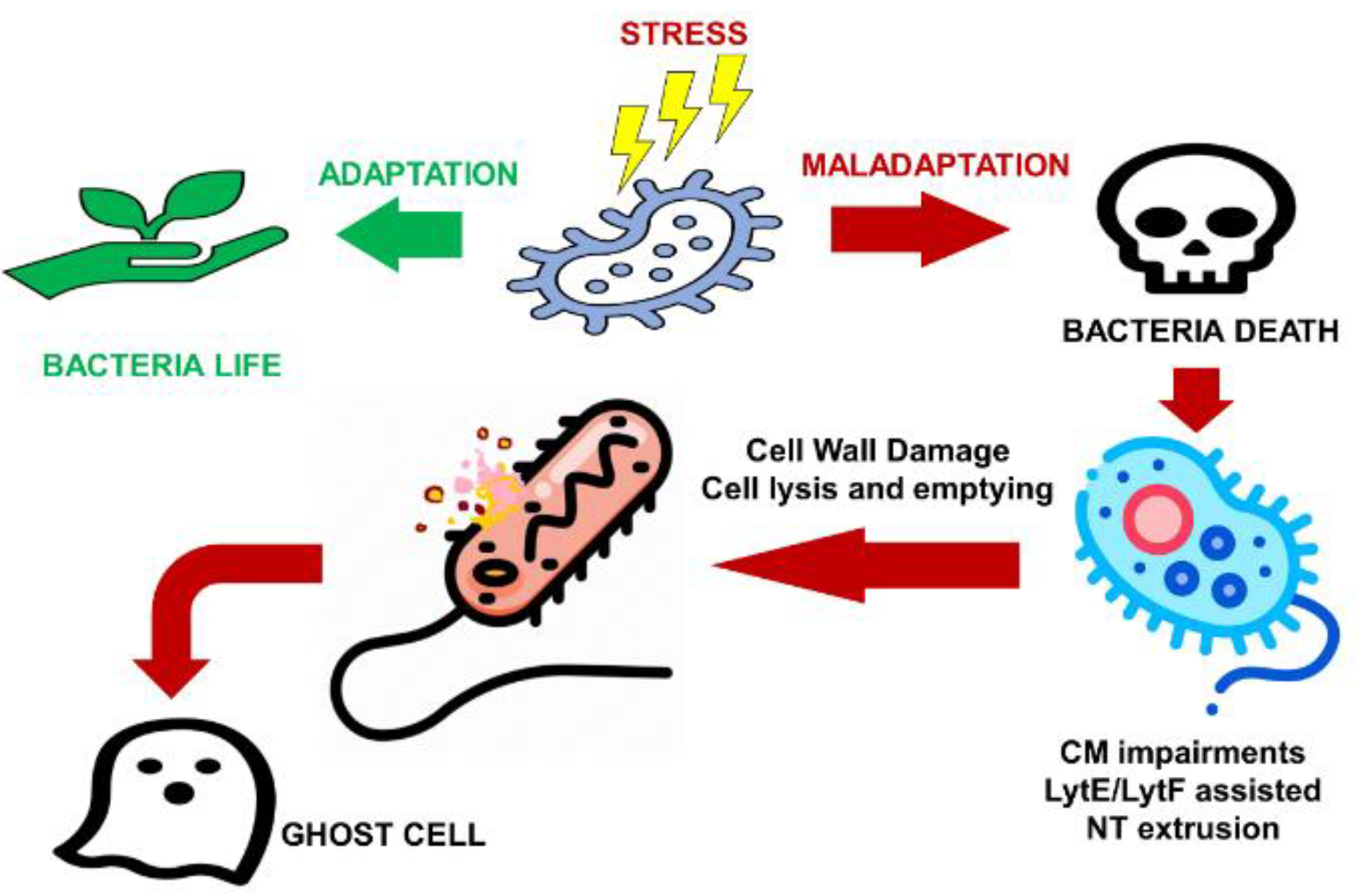 Fibers 10 00075 g011