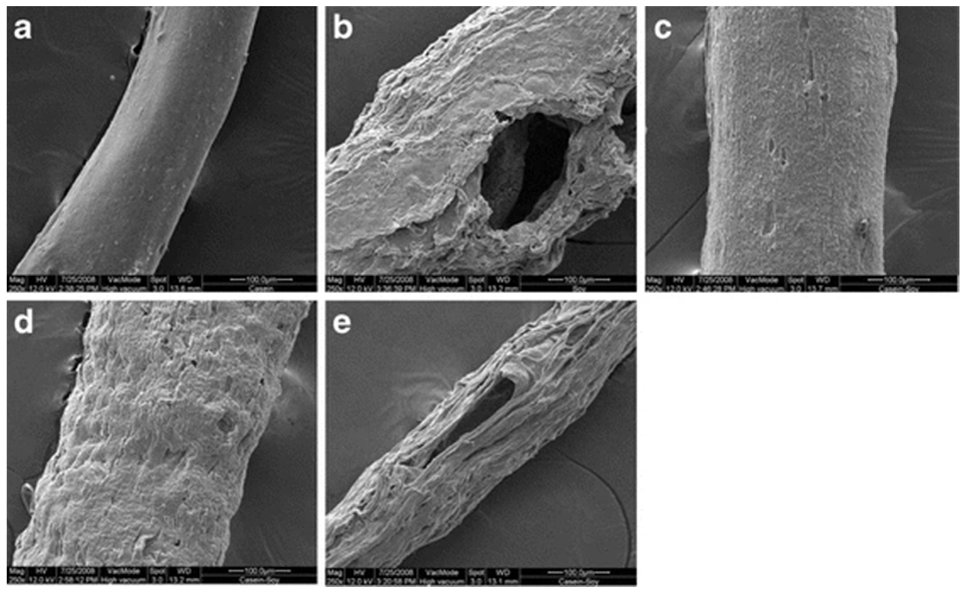 Fibers 12 00031 g002