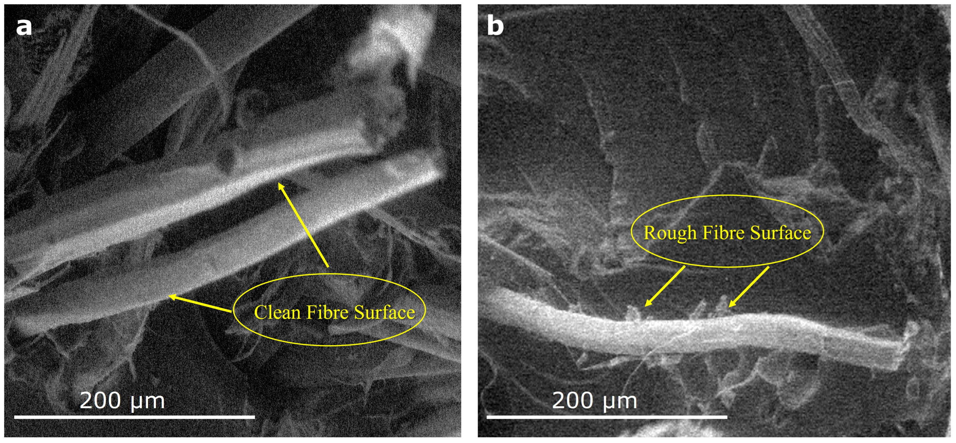 Fibers 12 00034 g004