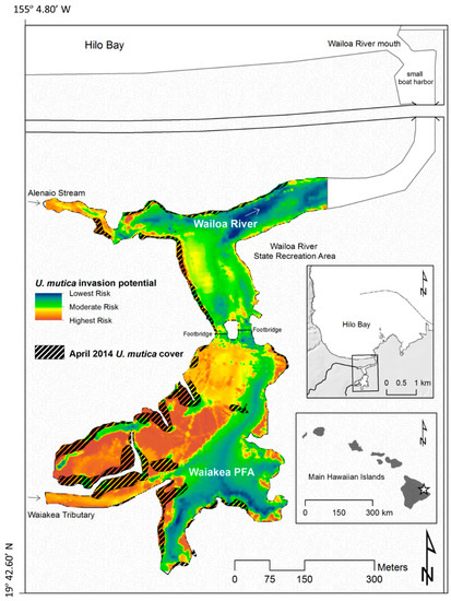 Mugilids Display Distinct Trait-Mediated Patterns with a Reinvasion of Para Grass Urochloa mutica in a Tropical Estuary Mugilids Display Distinct Trait-Mediated Patterns with a Reinvasion of Para Grass Urochloa mutica in a Tropical Estuary