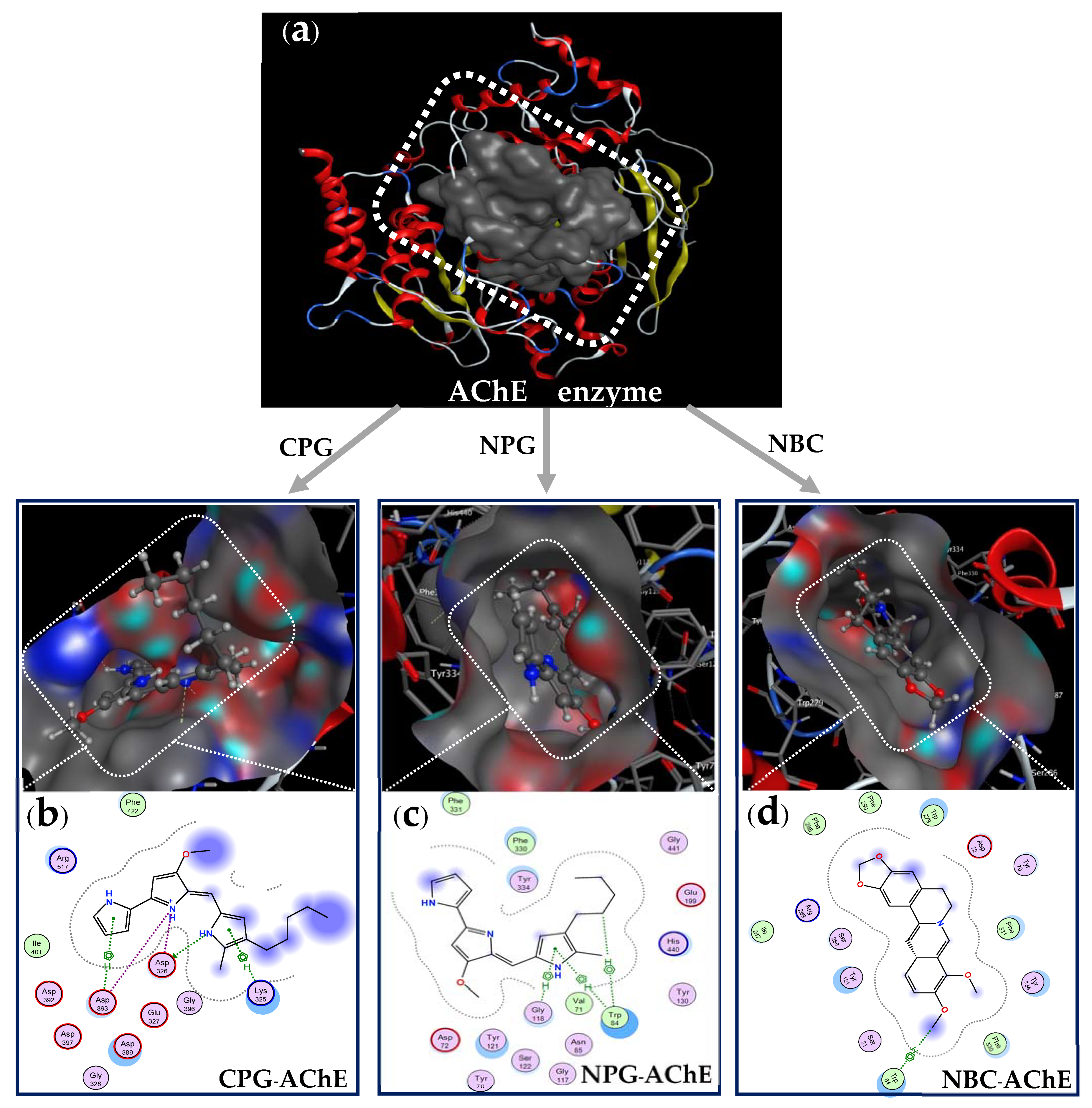 Fishes 06 00030 g008