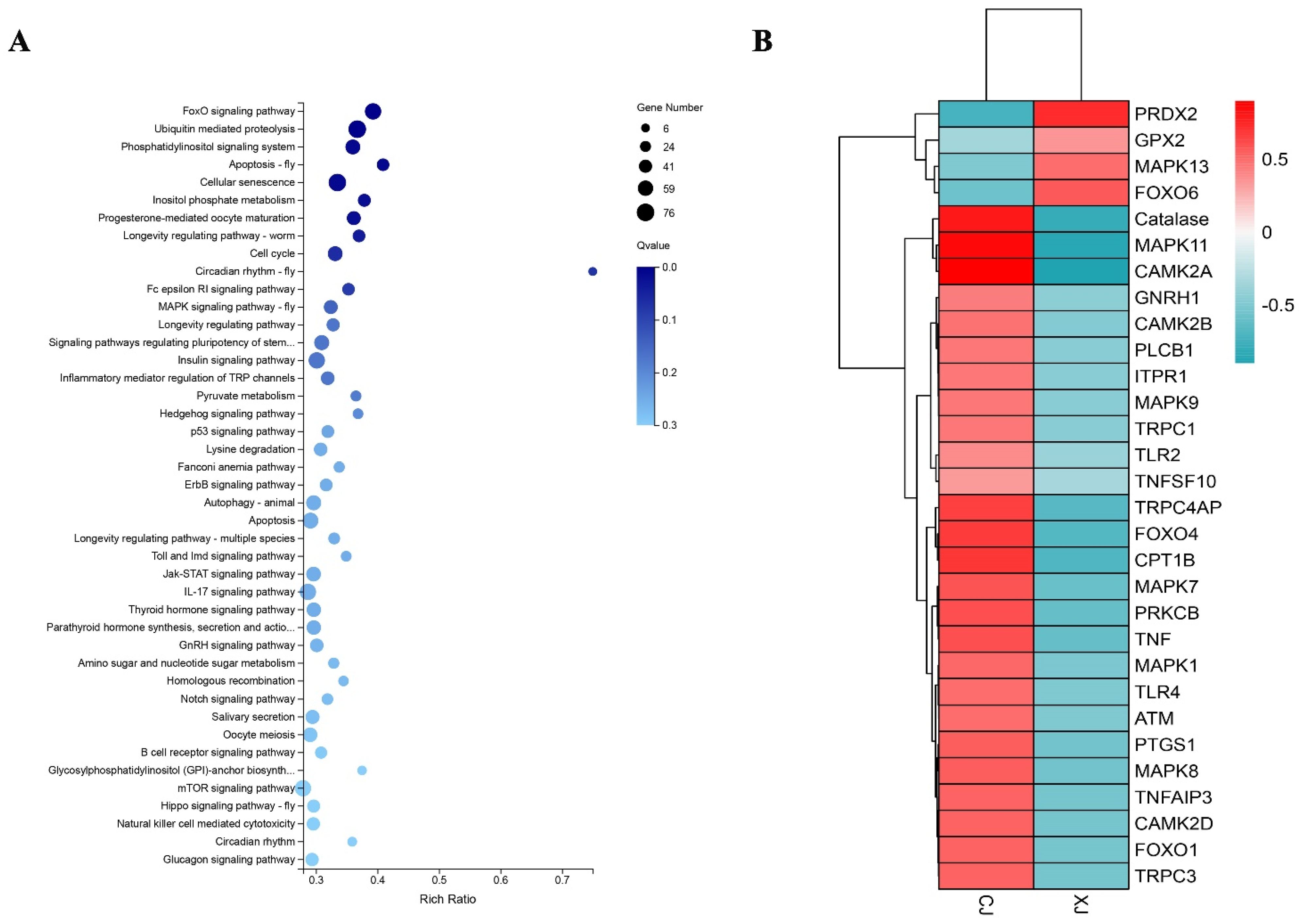 Fishes 07 00096 g002