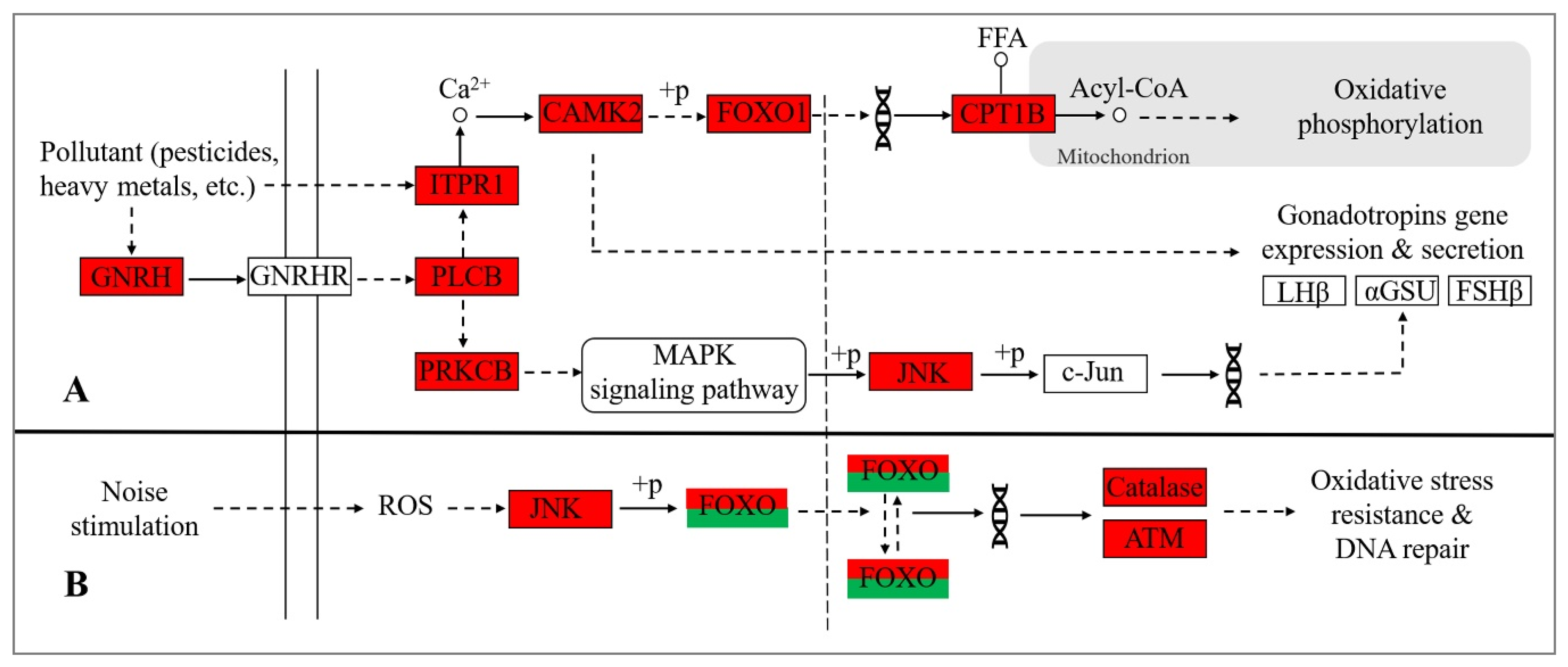 Fishes 07 00096 g004
