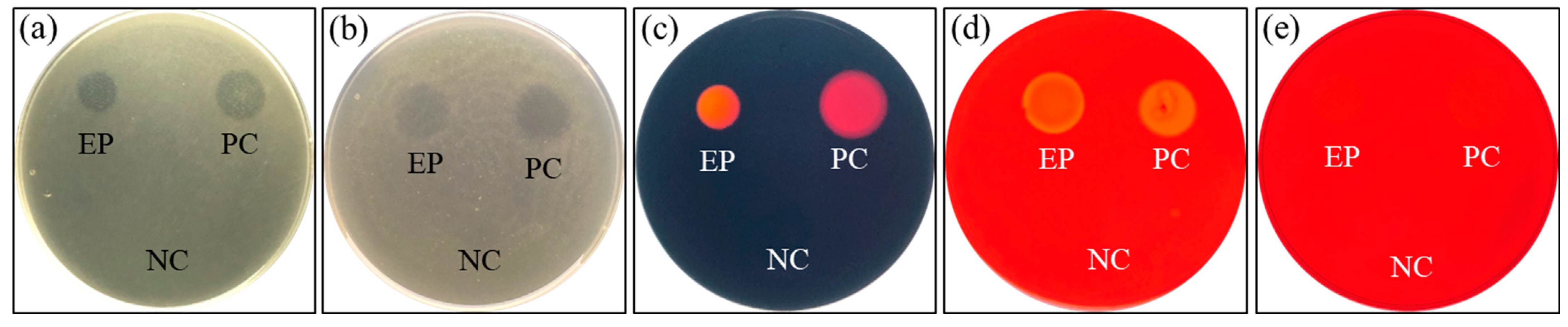 Fishes 07 00386 g001