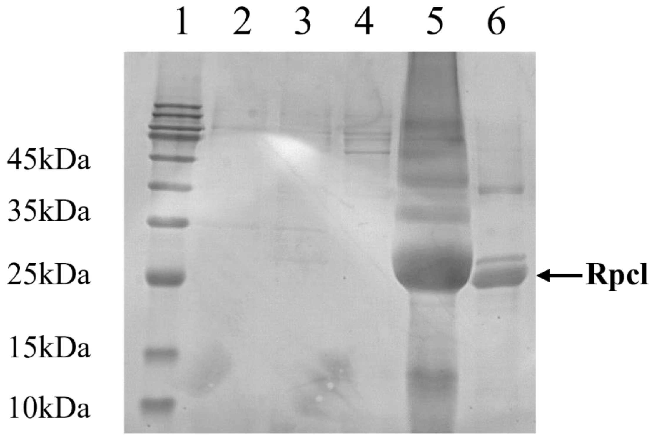 Fishes 08 00062 g006