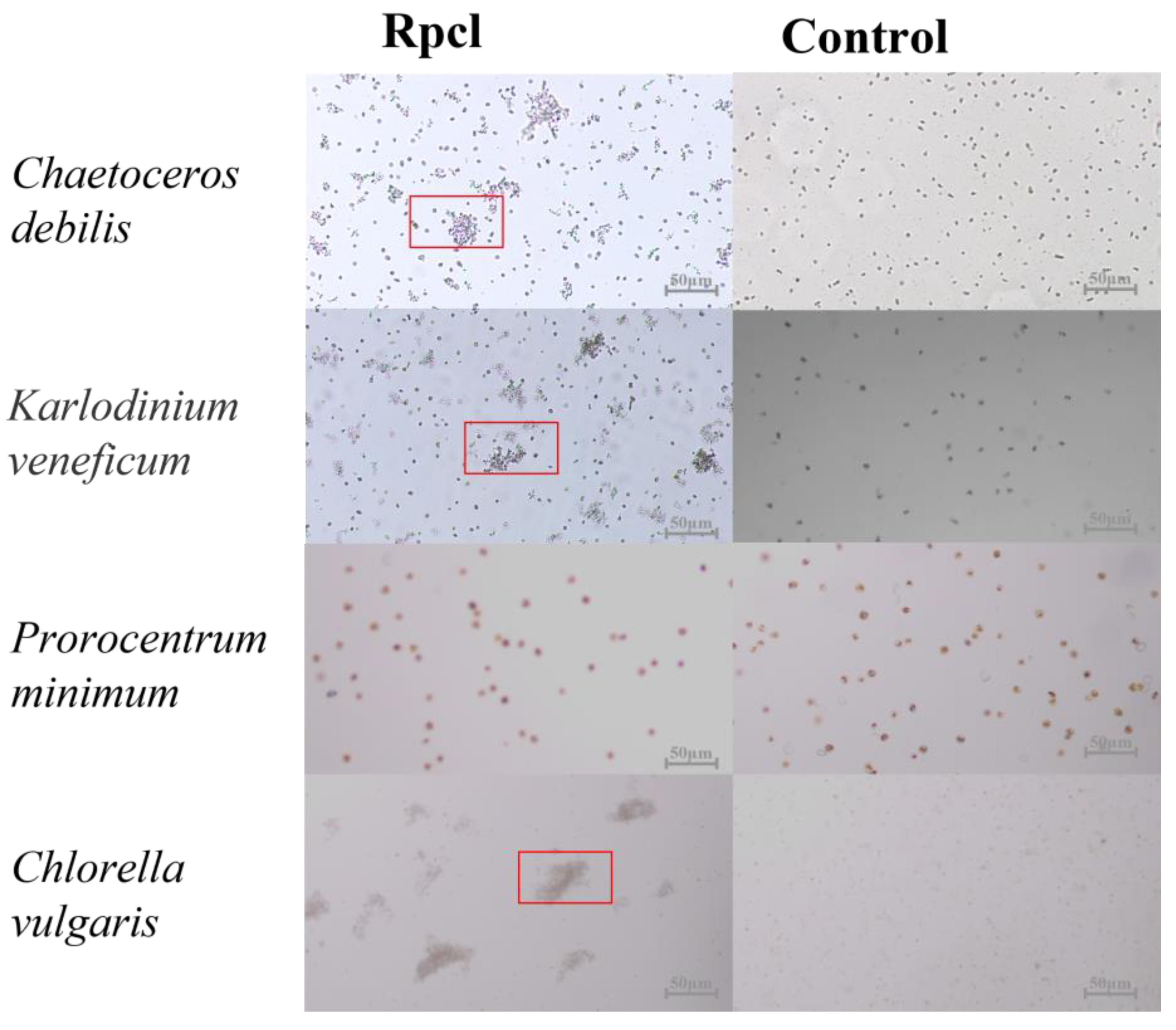 Fishes 08 00062 g007
