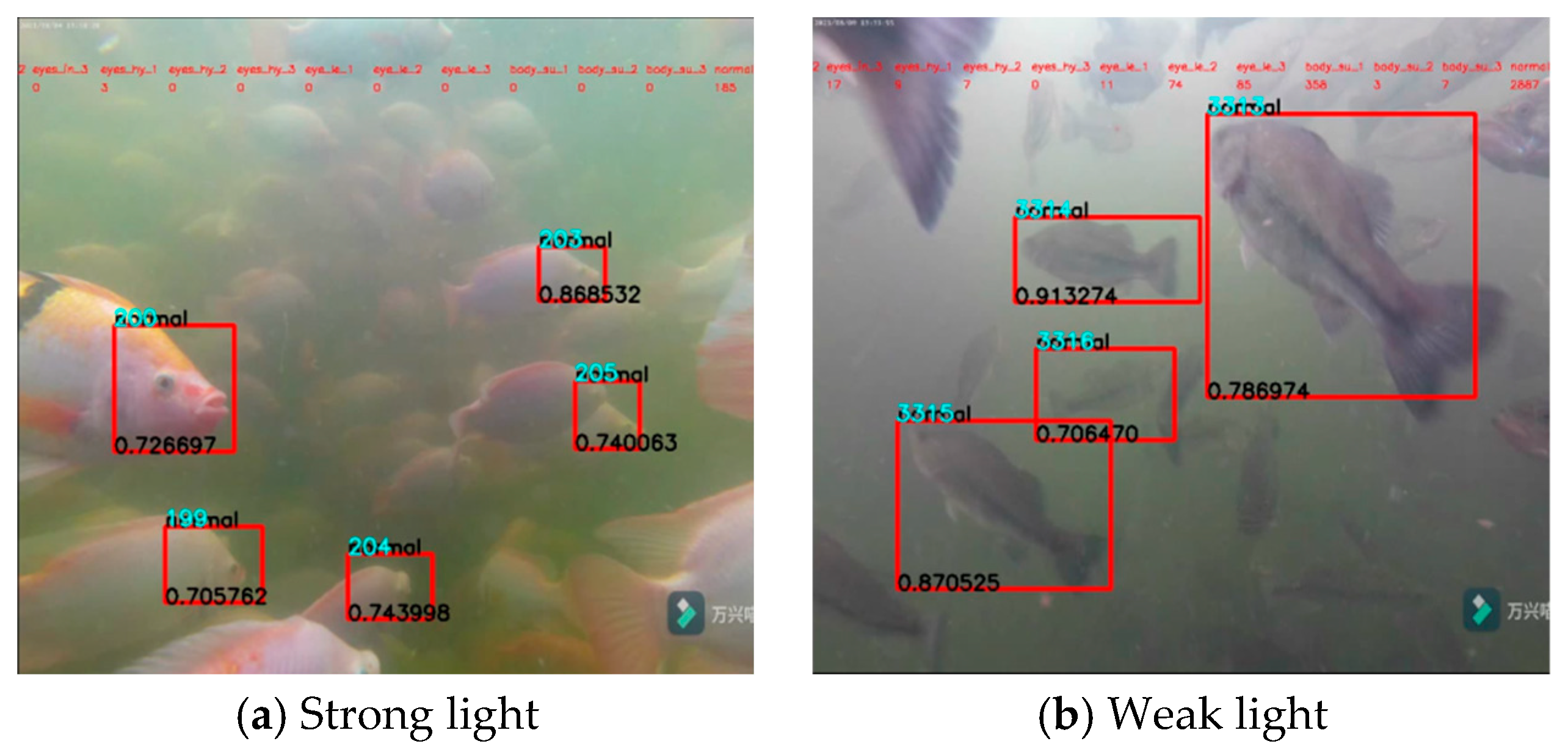 Fishes Free Full Text Diseased Fish Detection In The Underwater