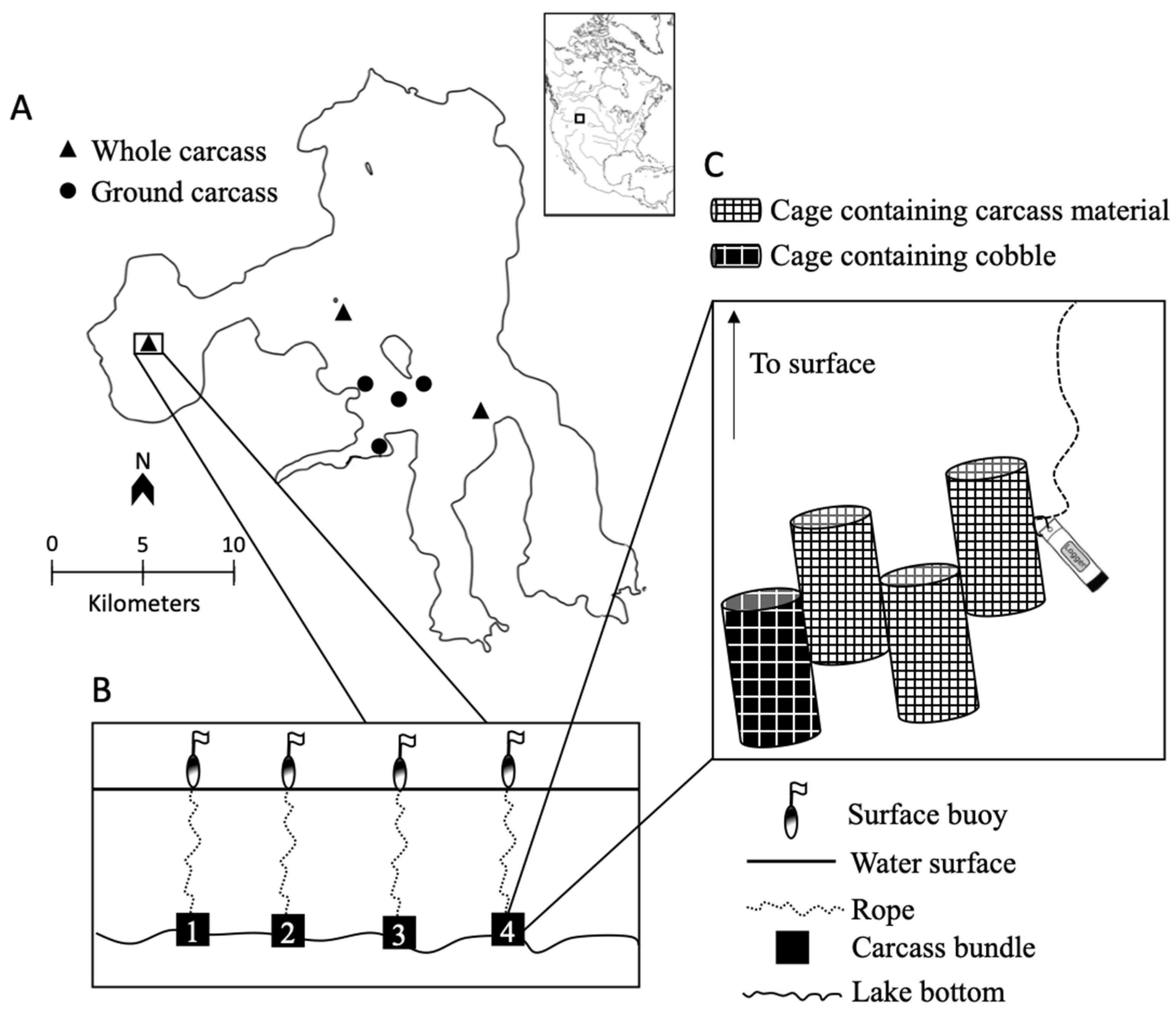 Fishes 08 00385 g001