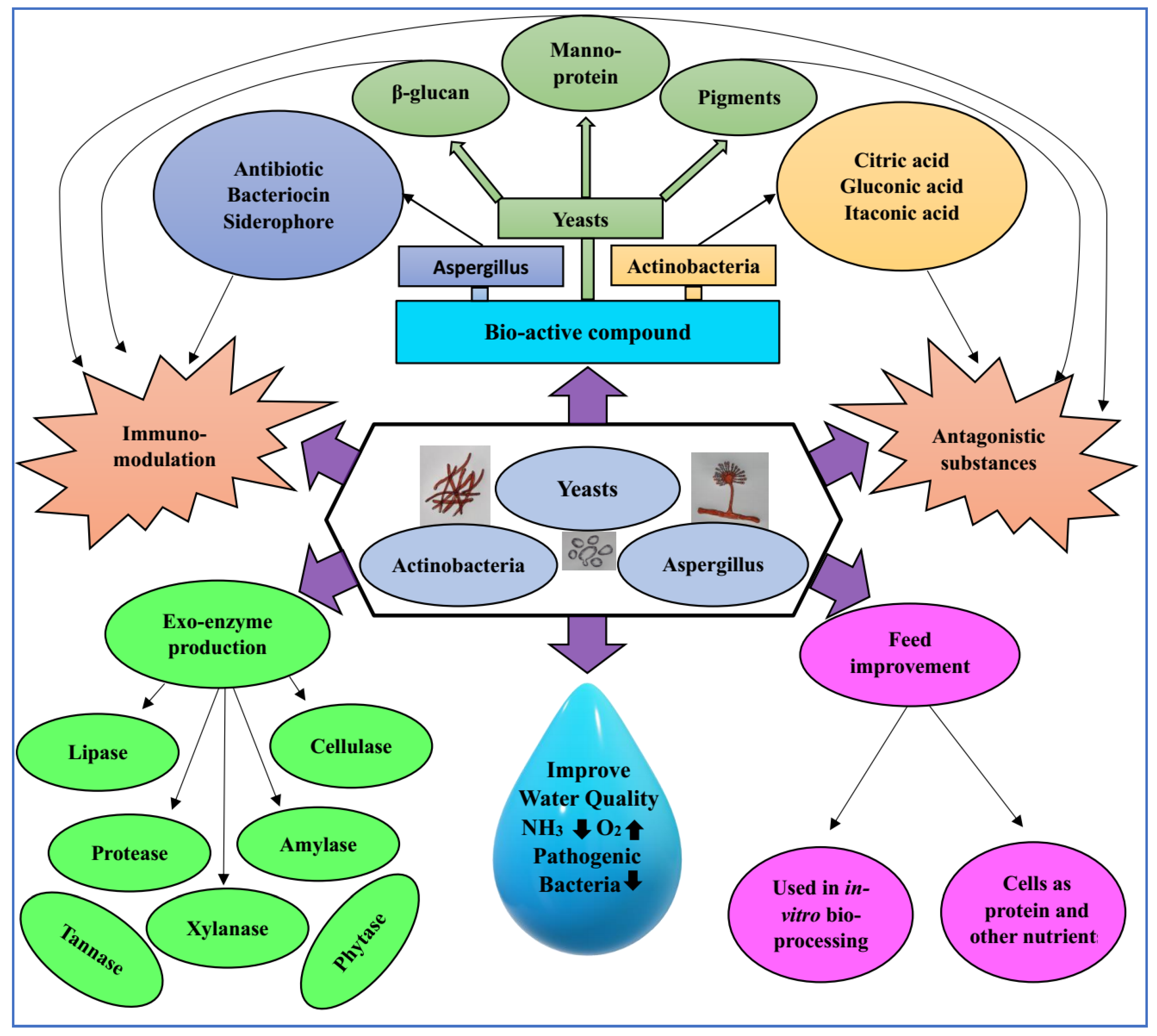 Fishes 08 00575 g001