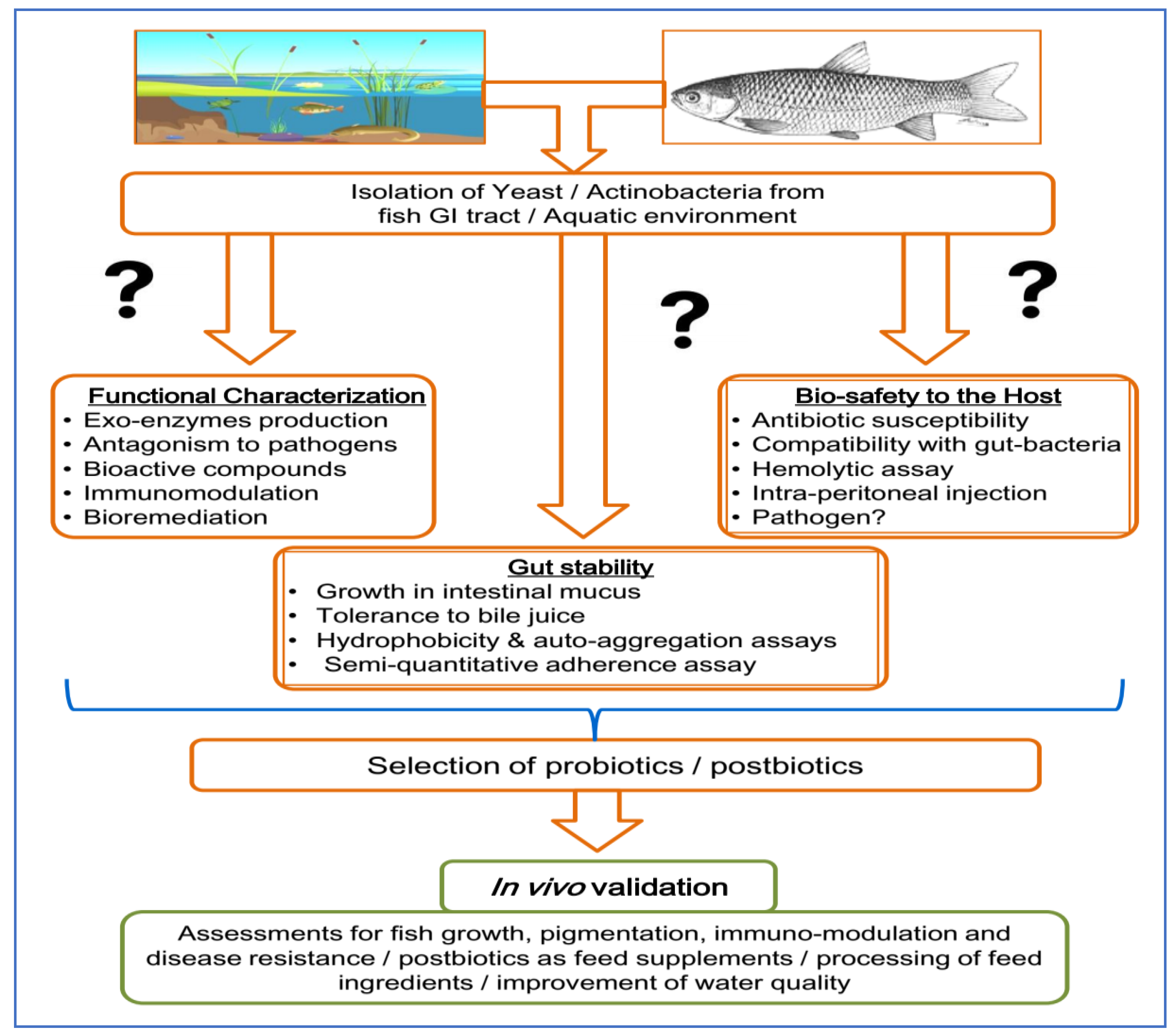 Fishes 08 00575 g002