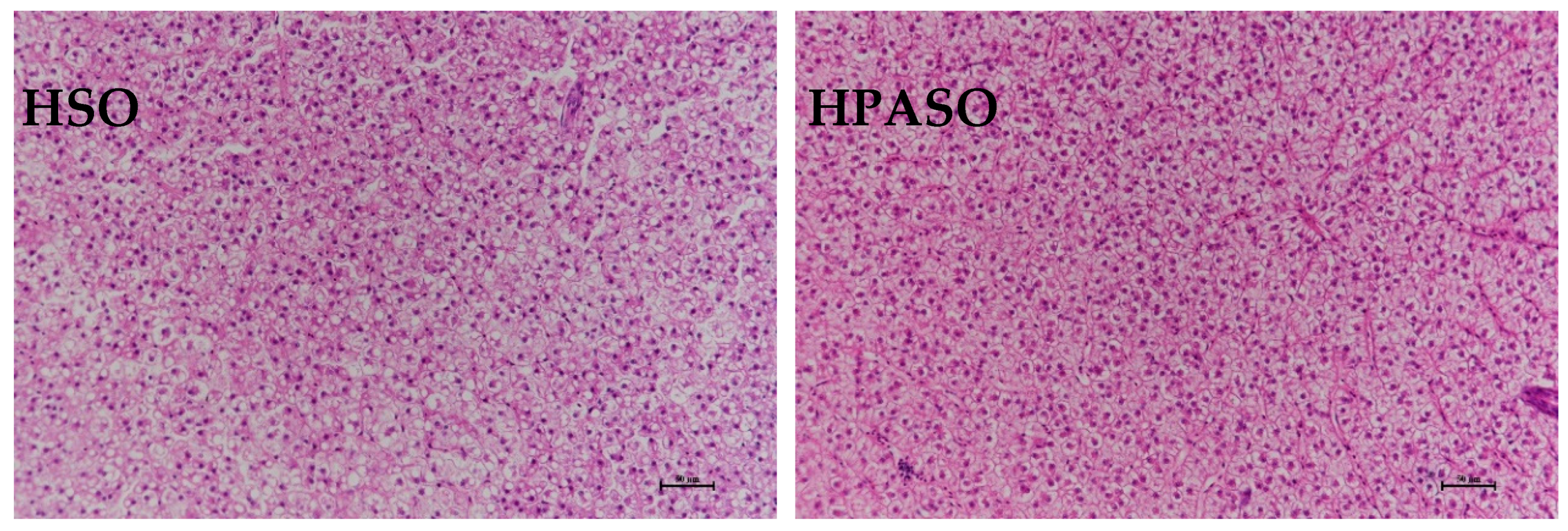 Fishes 09 00123 g001b