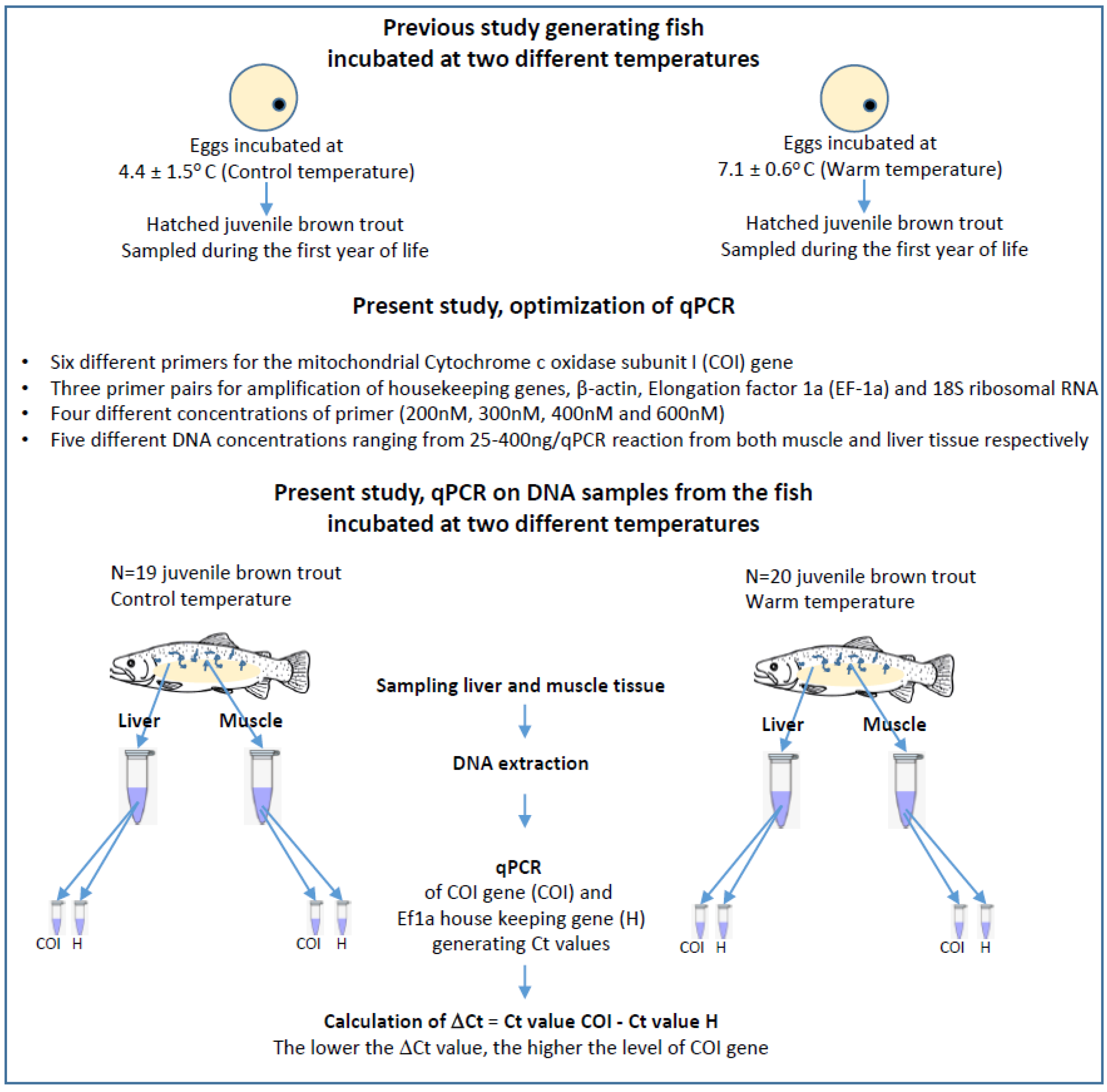 Fishes 09 00142 g002