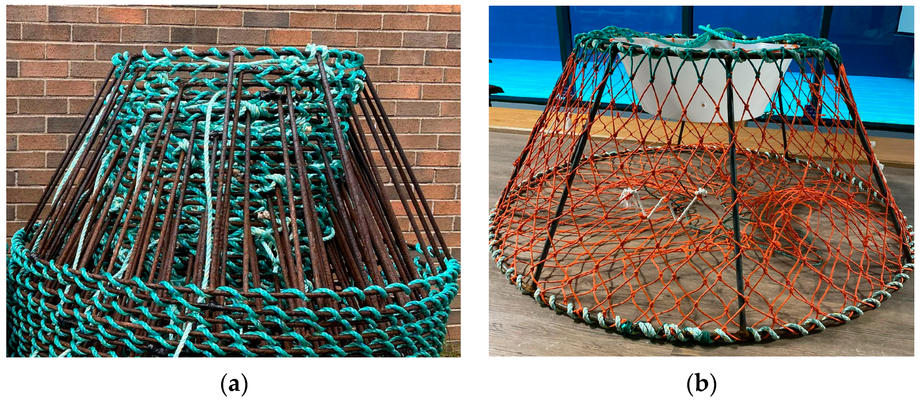 Fishes 09 00154 g002