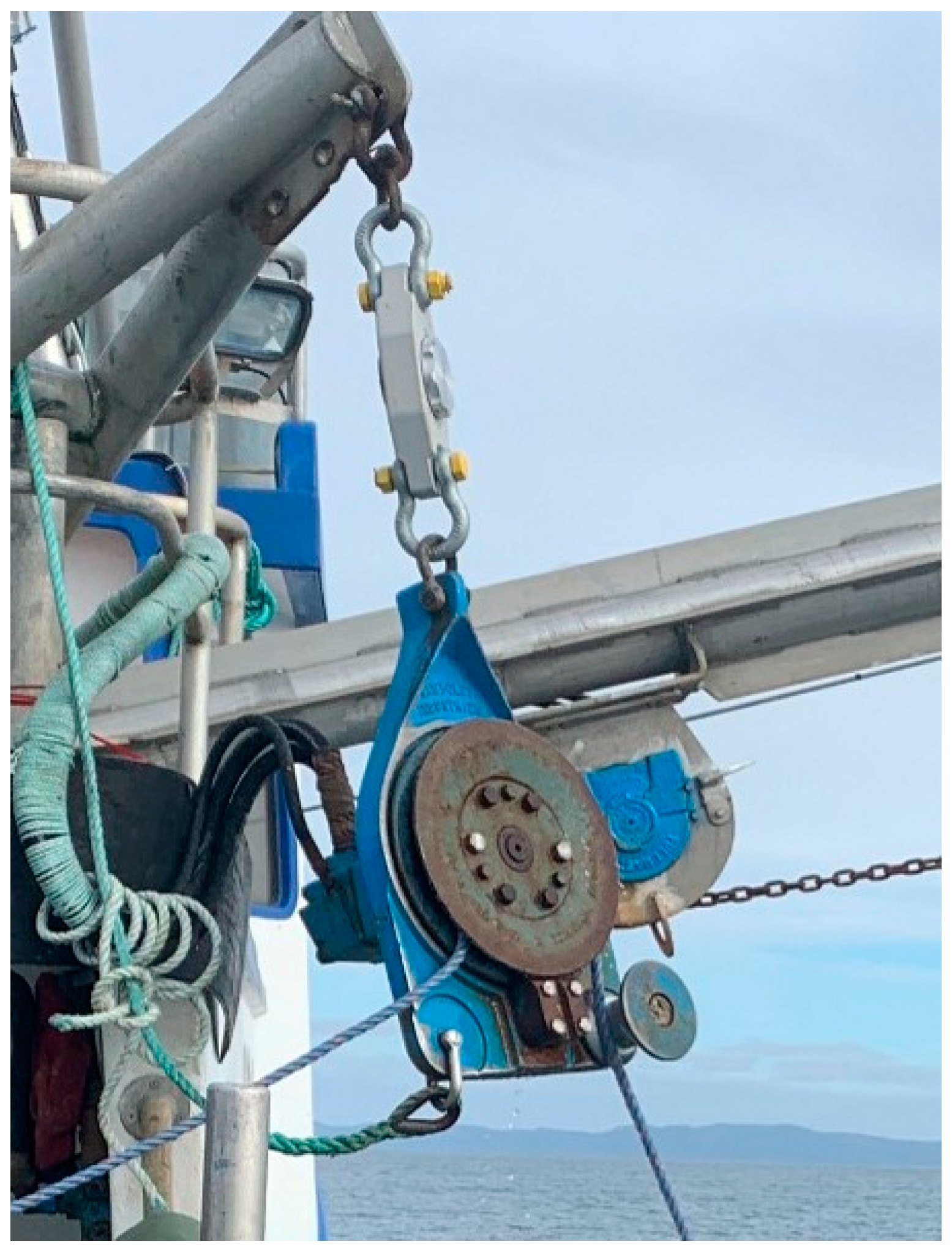 Fishes 09 00154 g004