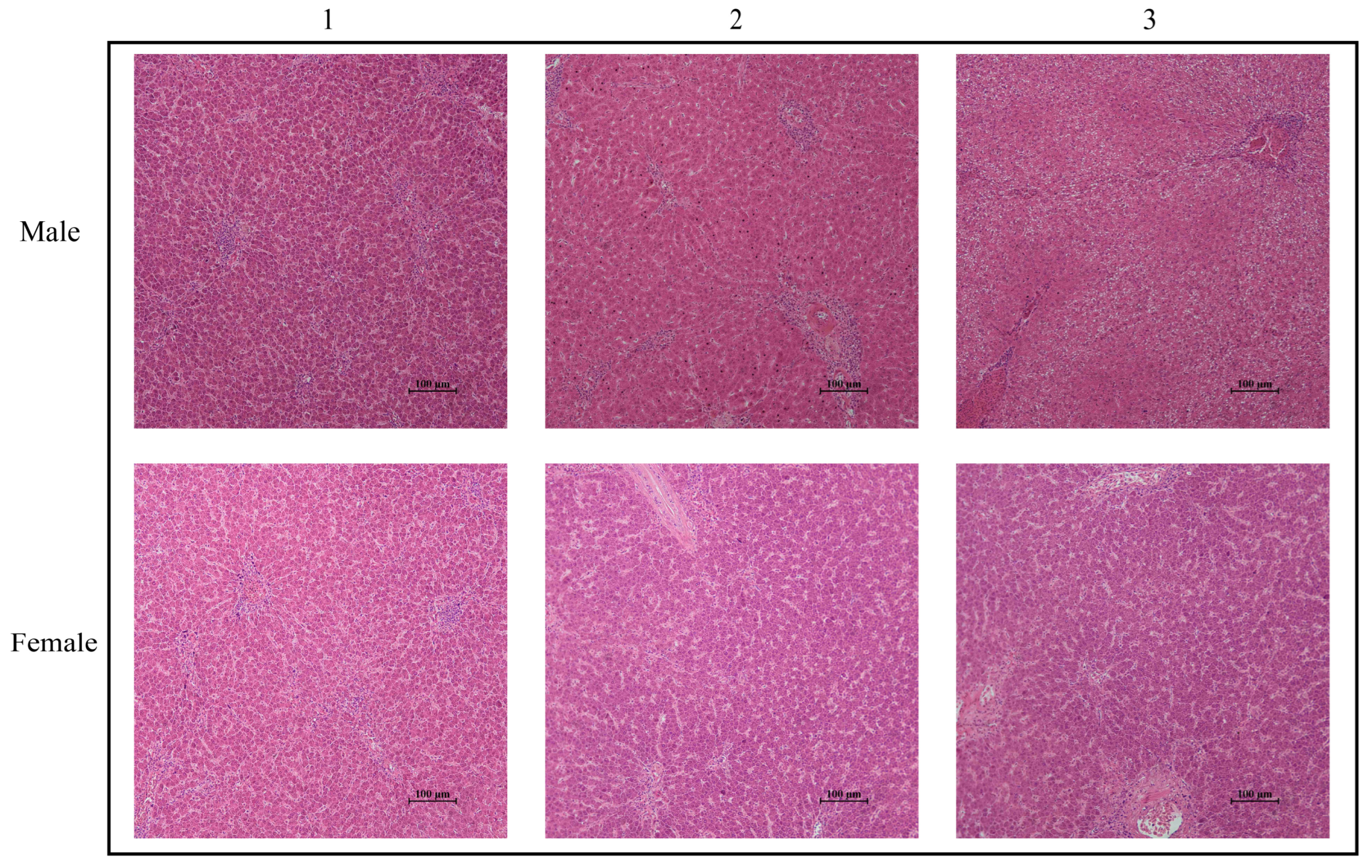 Fishes 09 00184 g001