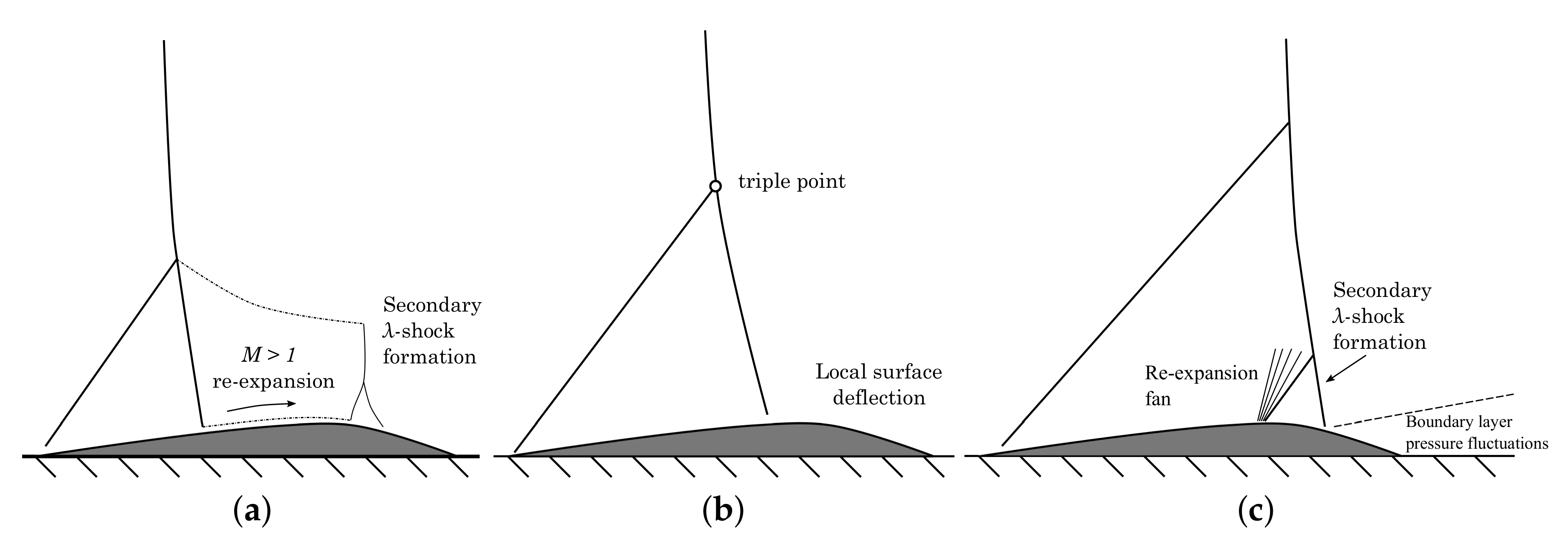 Fluids 05 00046 g002