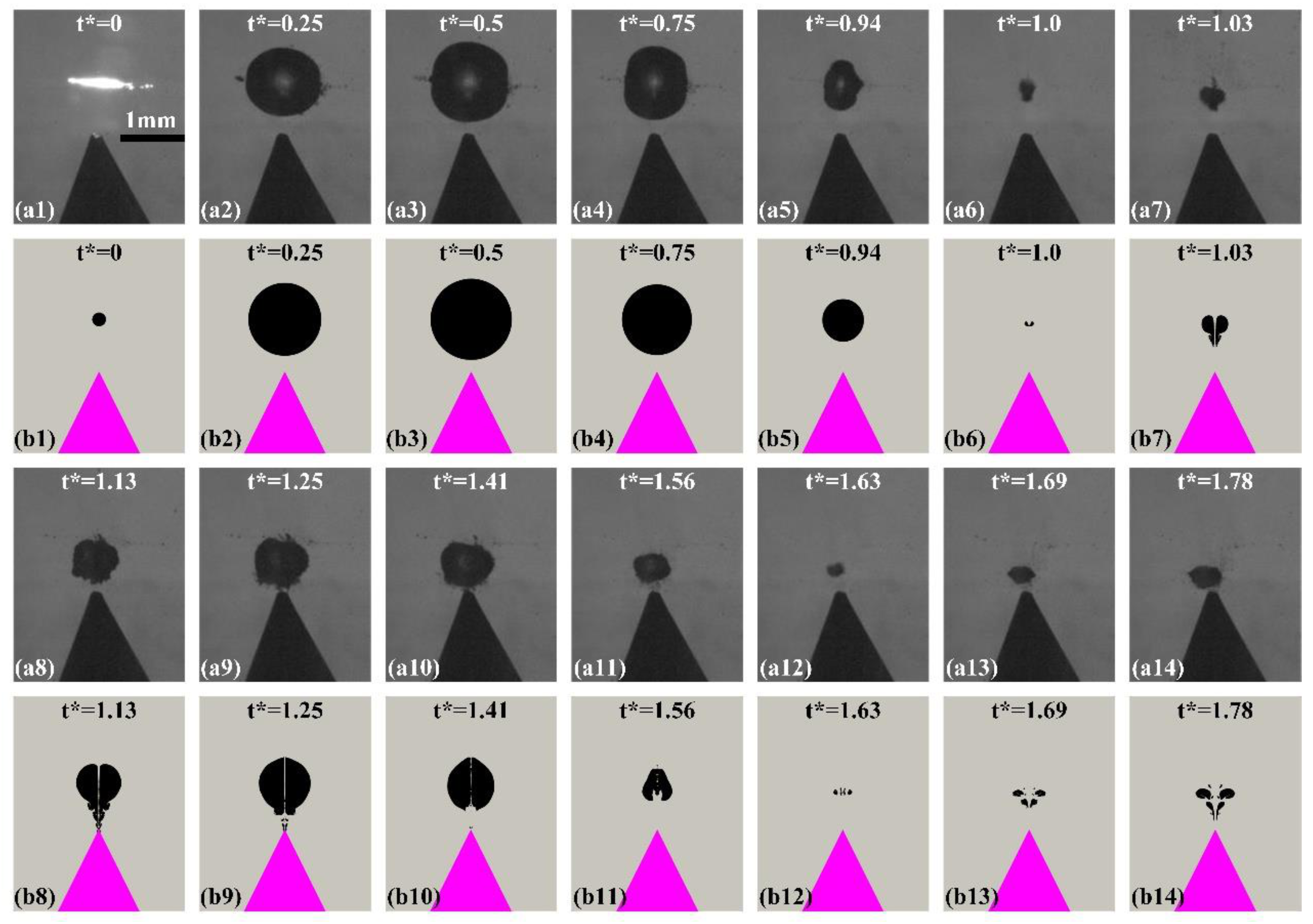 Fluids 08 00220 g005
