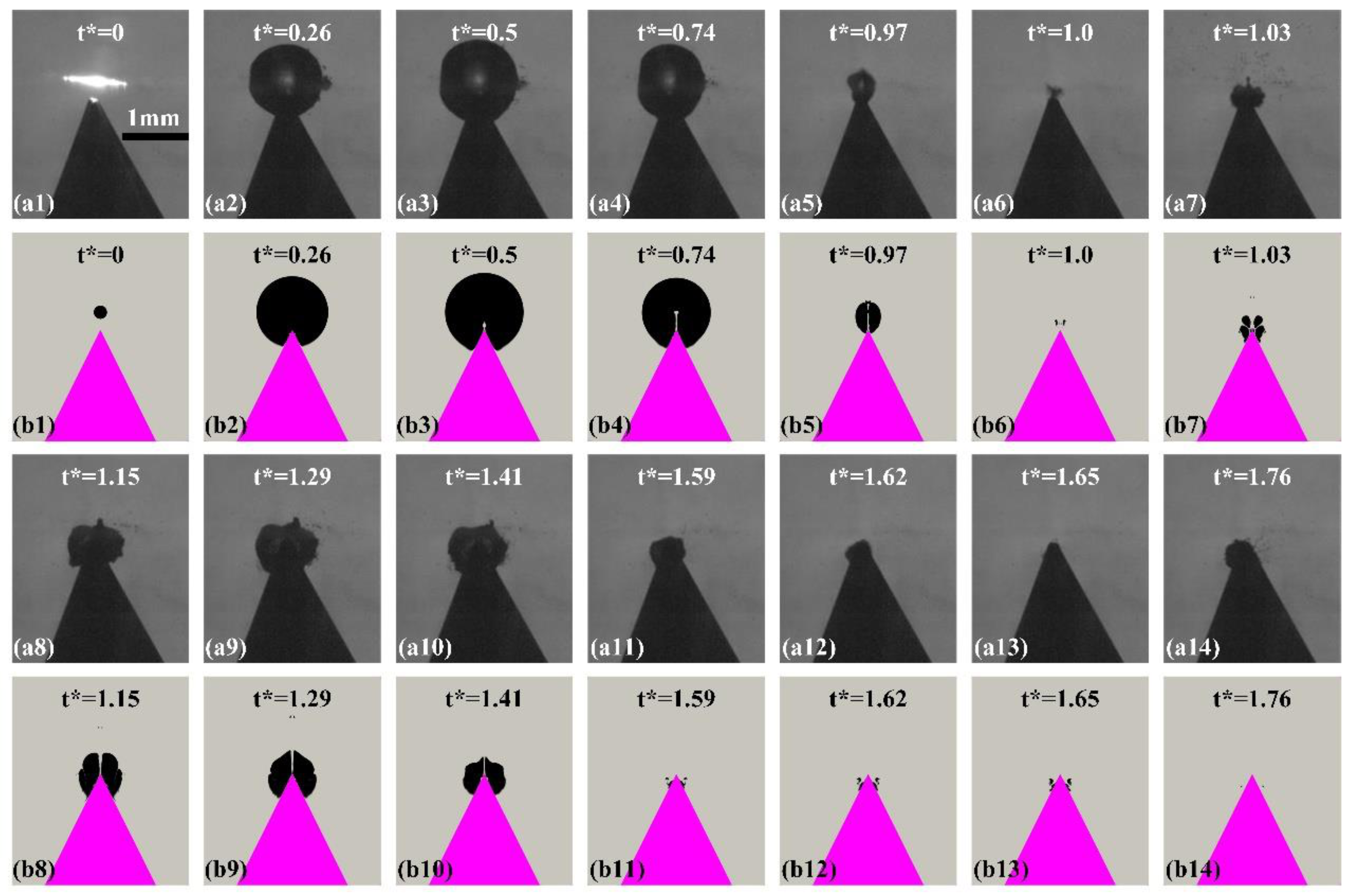 Fluids 08 00220 g008
